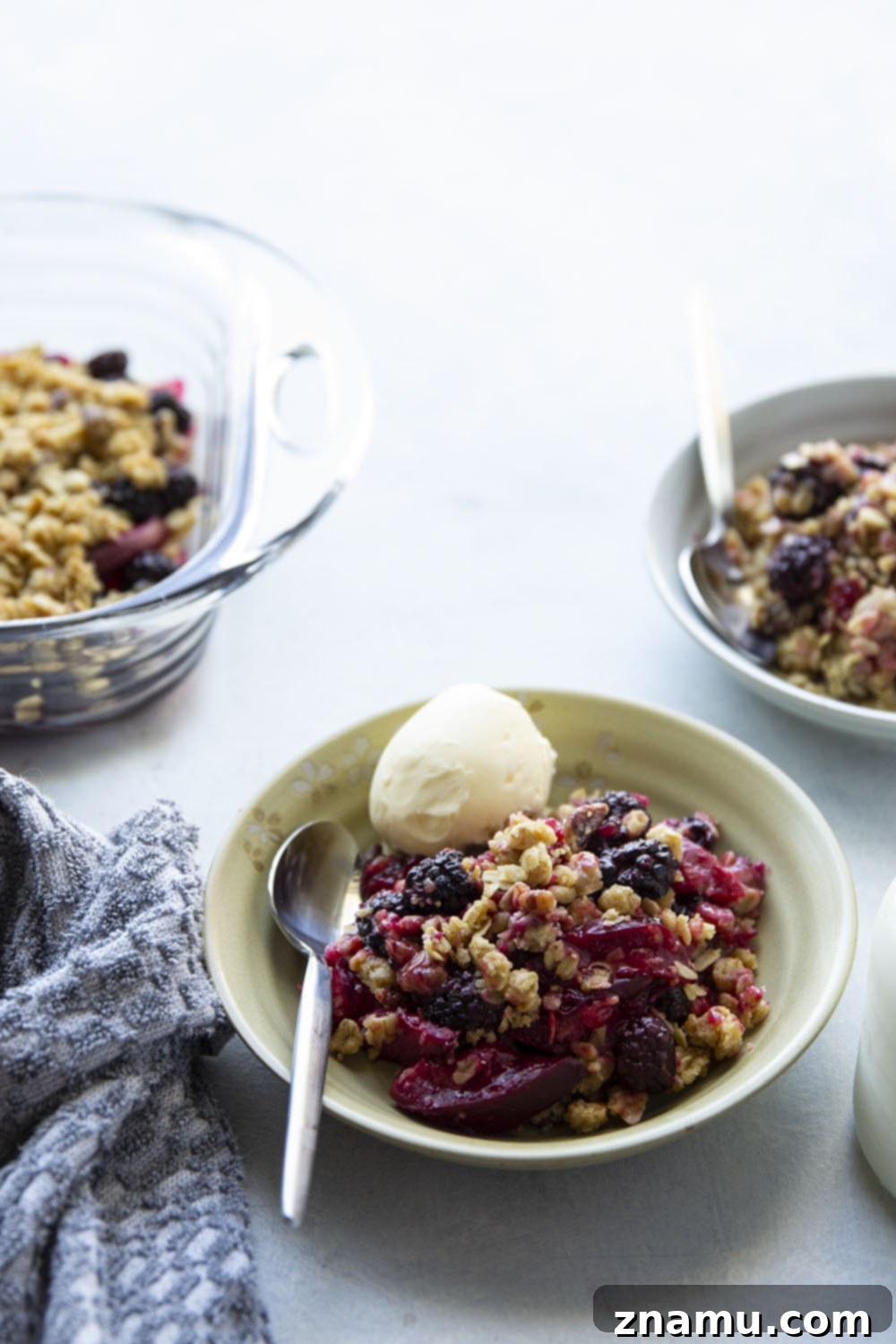 Ruby Harvest Crisp 6 A large serving of warm Blackberry Plum Crisp in a white bowl, topped with a melting scoop of vanilla ice cream, ready to be enjoyed.