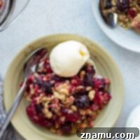 A delicious Blackberry Plum Crisp with a golden oatmeal streusel topping, served warm with vanilla ice cream.