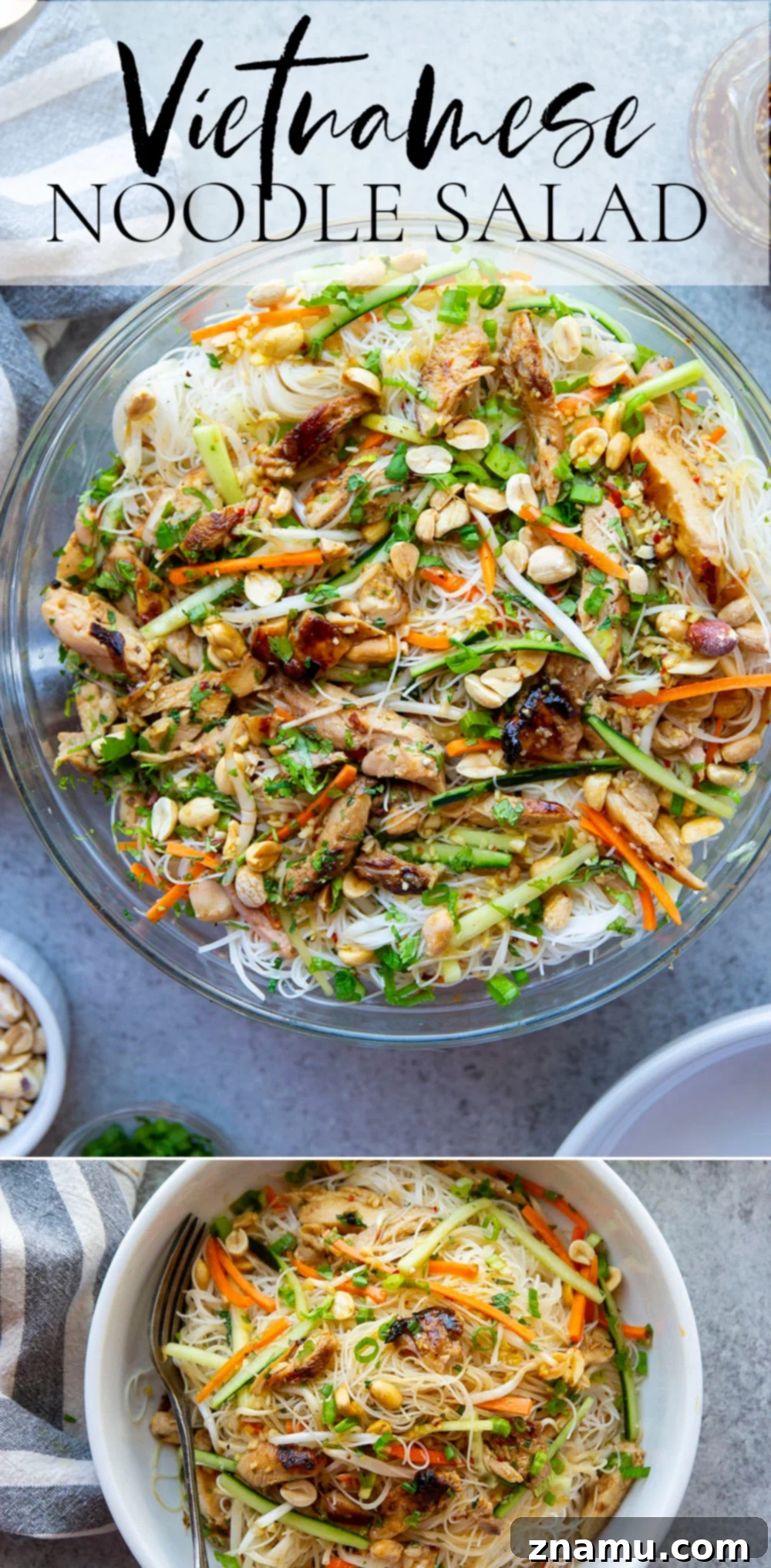 Chargrilled Chicken Vietnamese Noodle Bowl 8 A beautifully presented Vietnamese Noodle Salad with grilled chicken and a variety of fresh ingredients.