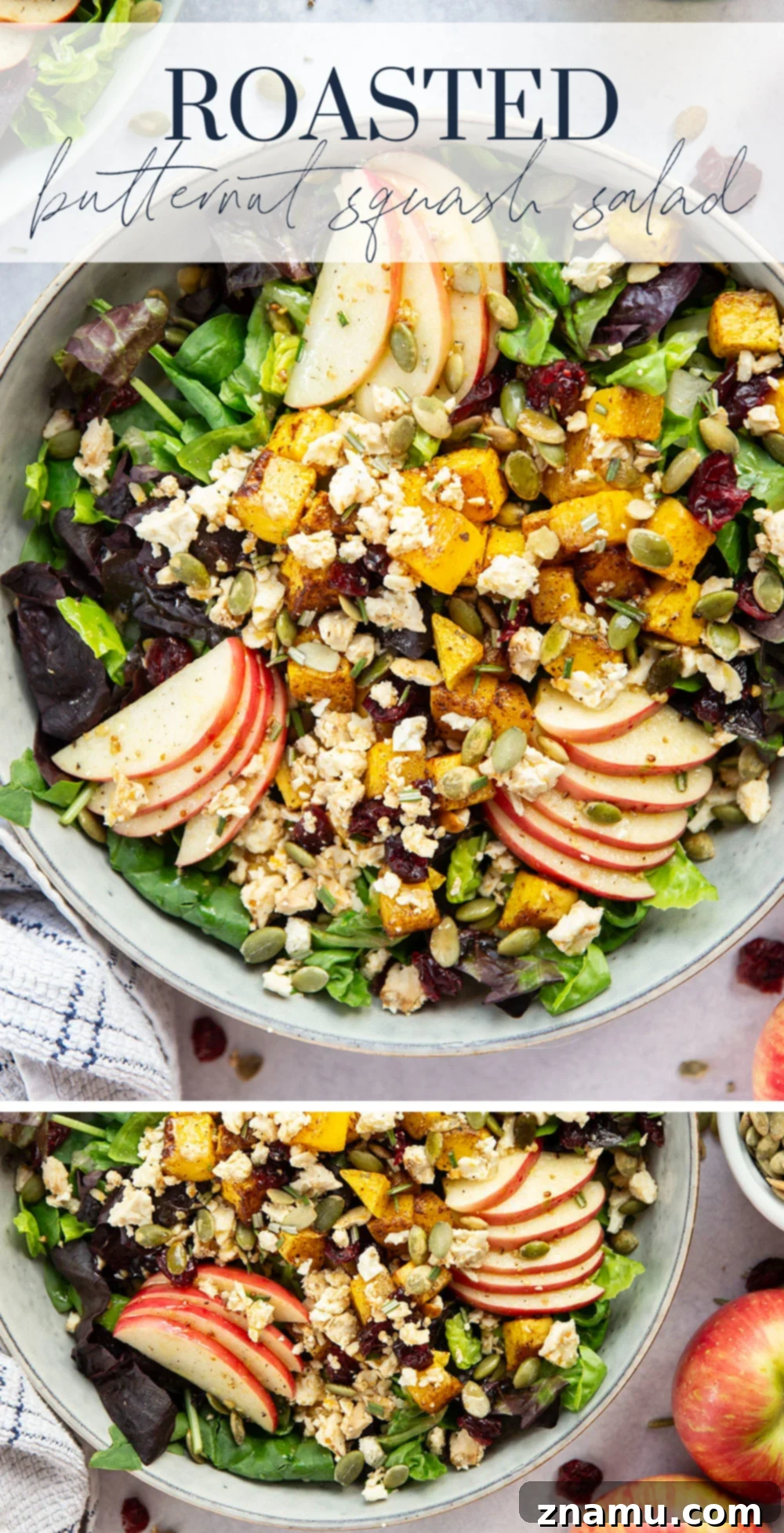 Maple Roasted Butternut Harvest Salad 7 Overhead shot of the finished roasted butternut squash salad, beautifully arranged in a bowl.