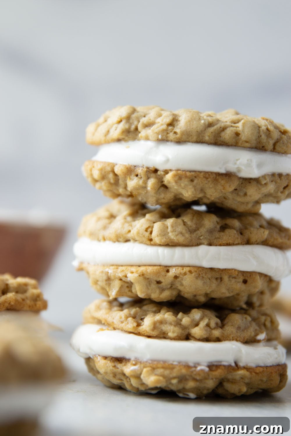 Homemade Oatmeal Creamy Delights 5 Variety of ingredients laid out for baking homemade oatmeal cream pies