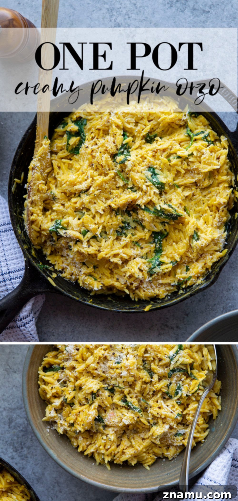 One Pot Velvety Pumpkin Orzo 7 A beautifully composed flat lay of creamy pumpkin orzo in a white bowl with a fork, surrounded by autumnal decorations like small pumpkins and fall leaves, emphasizing the seasonal theme. Made in one pot and packed with cozy fall flavors, this creamy pumpkin orzo is perfectly cheesy, creamy, and loaded with flavorful pumpkin, wilted spinach, and tender orzo.