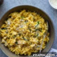 One Pot Velvety Pumpkin Orzo 8 Made in one pot and packed with cozy fall flavors, this creamy pumpkin orzo is perfectly cheesy, creamy, and loaded with flavorful pumpkin, wilted spinach, and tender orzo.