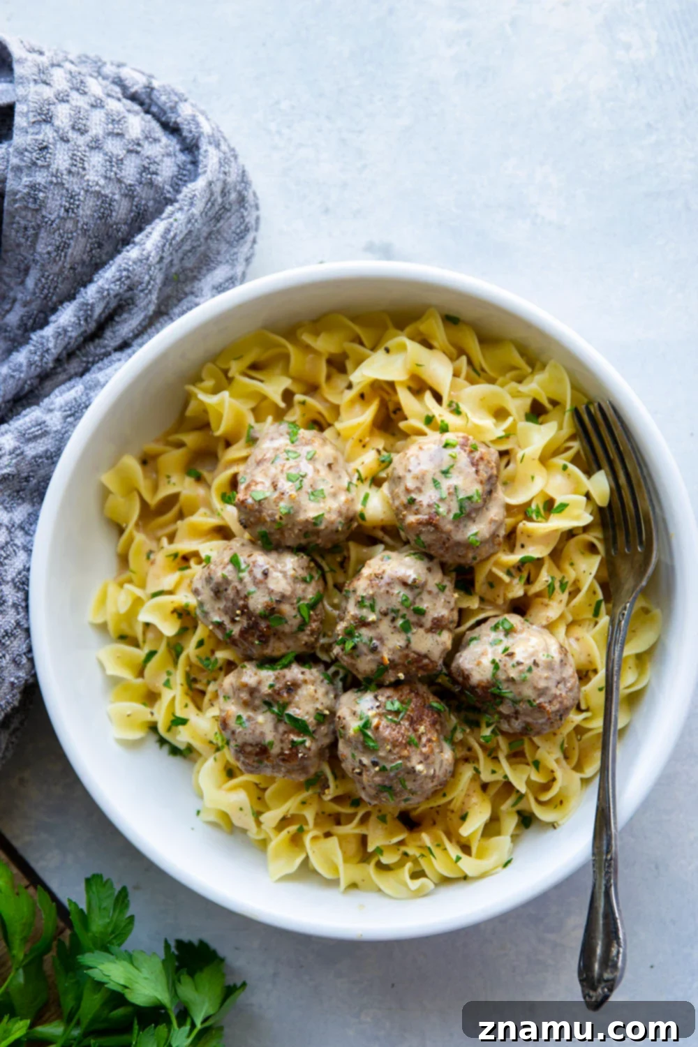 Instant Pot Swedish Meatballs: A Cozy Classic 2 Tender Instant Pot Swedish meatballs covered in a rich, creamy brown gravy, served over egg noodles.
