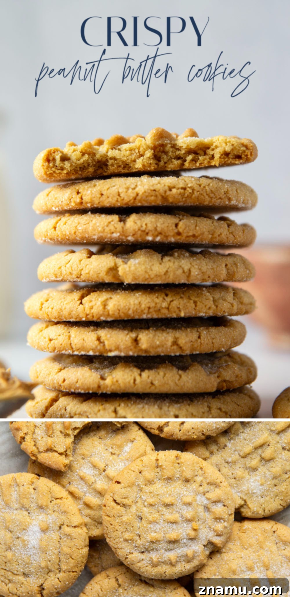 Golden Peanut Butter Crisps 7 These crispy peanut butter cookies feature perfectly crisp edges with soft centers and have an unbeatable nostalgic taste!
