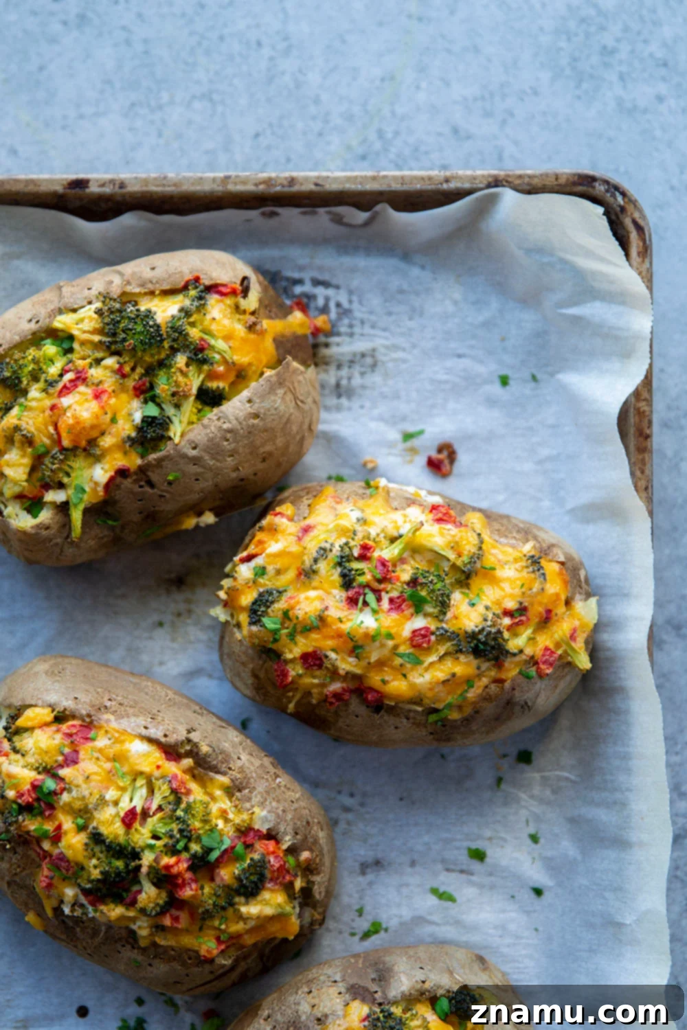 Loaded Broccoli Cheddar Potatoes 2 Flavorful Broccoli Cheddar Baked Potatoes with a creamy topping and fluffy interior, an easy side dish for any meal.