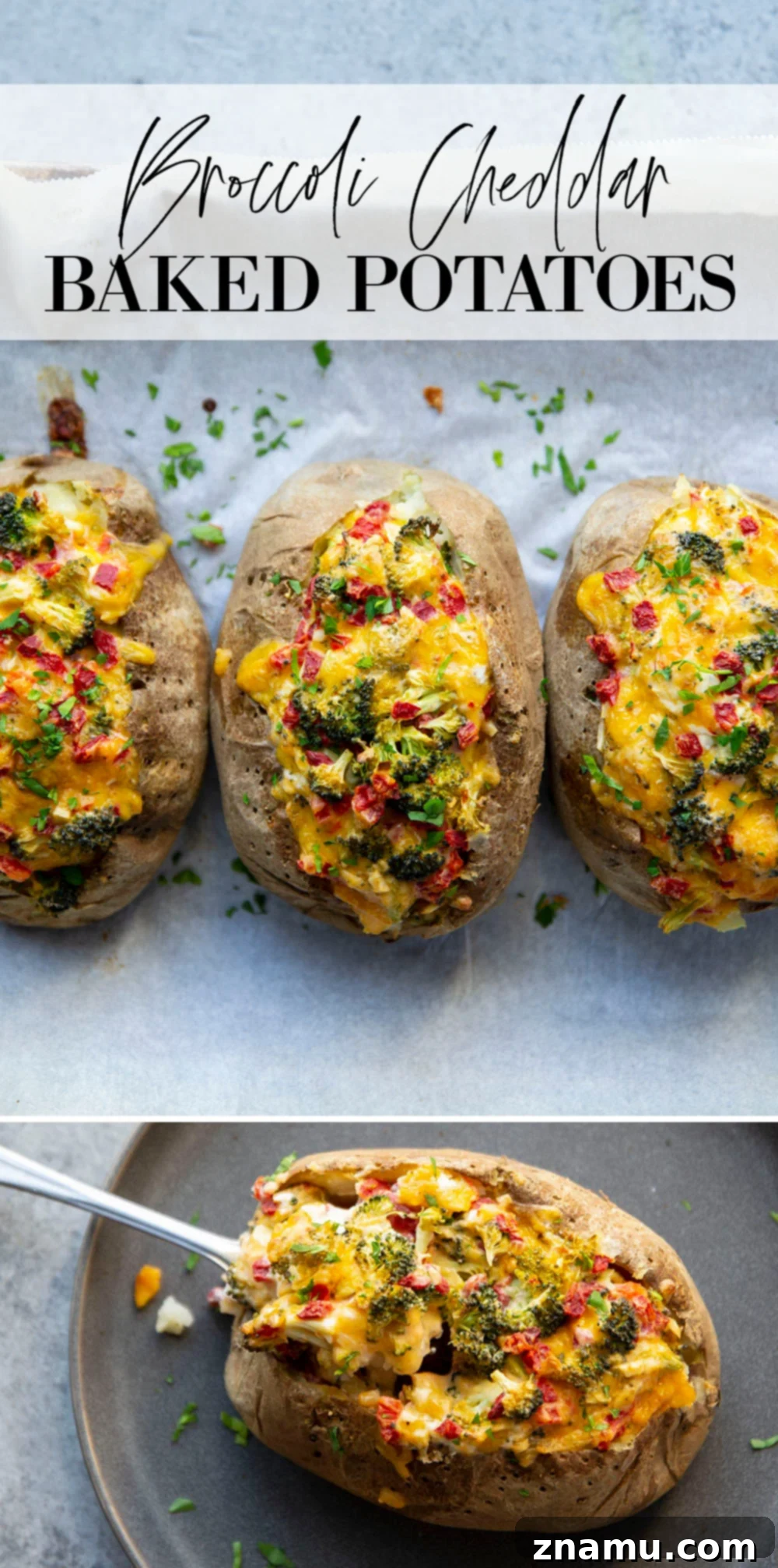 Loaded Broccoli Cheddar Potatoes 7 A vibrant platter of freshly baked Broccoli Cheddar Stuffed Potatoes, ready to be served.
