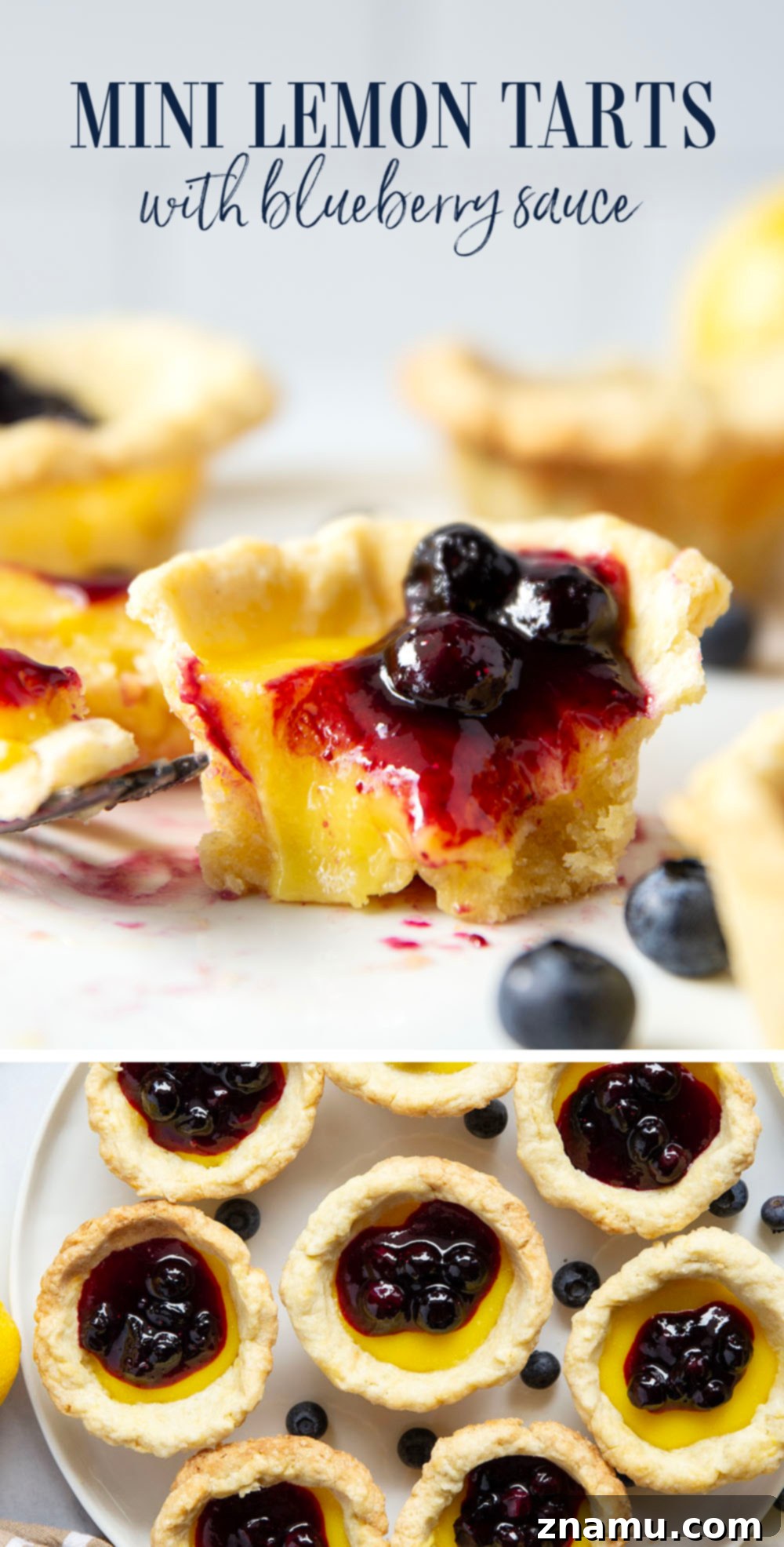 Sunshine Lemon & Blueberry Tartlets 7 A close-up of a single mini lemon tart, cut in half, revealing the layers of flaky crust and smooth lemon filling, crowned with blueberry sauce.