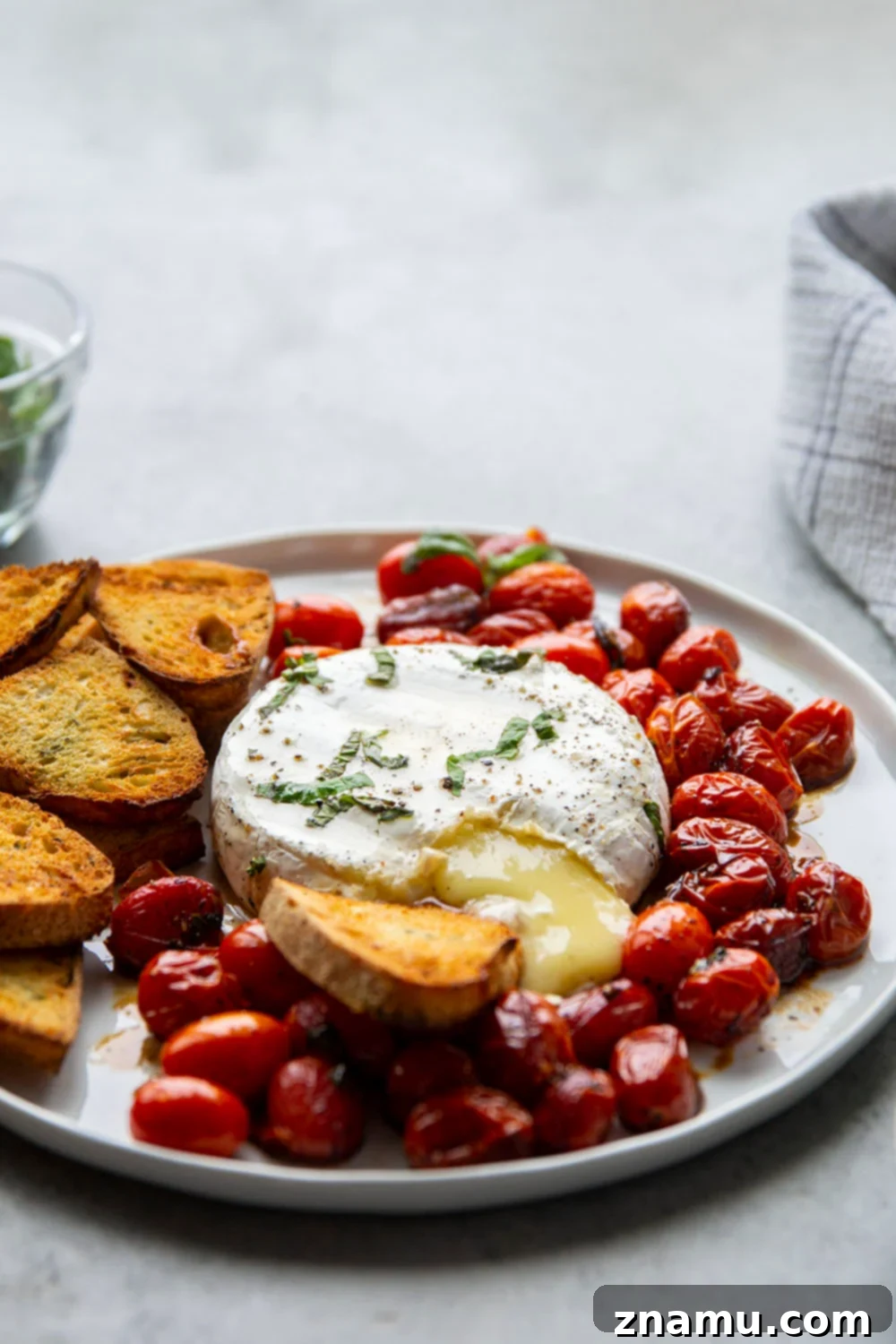 Baked Brie with Roasted Cherry Tomatoes and Fresh Herbs 4 Close-up of baked brie with cherry tomatoes and fresh herbs ready to be served.