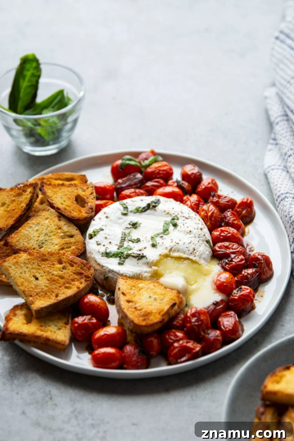 Baked Brie with Roasted Cherry Tomatoes and Fresh Herbs 6 A stunning spread of herby baked brie with cherry tomatoes and crostini.