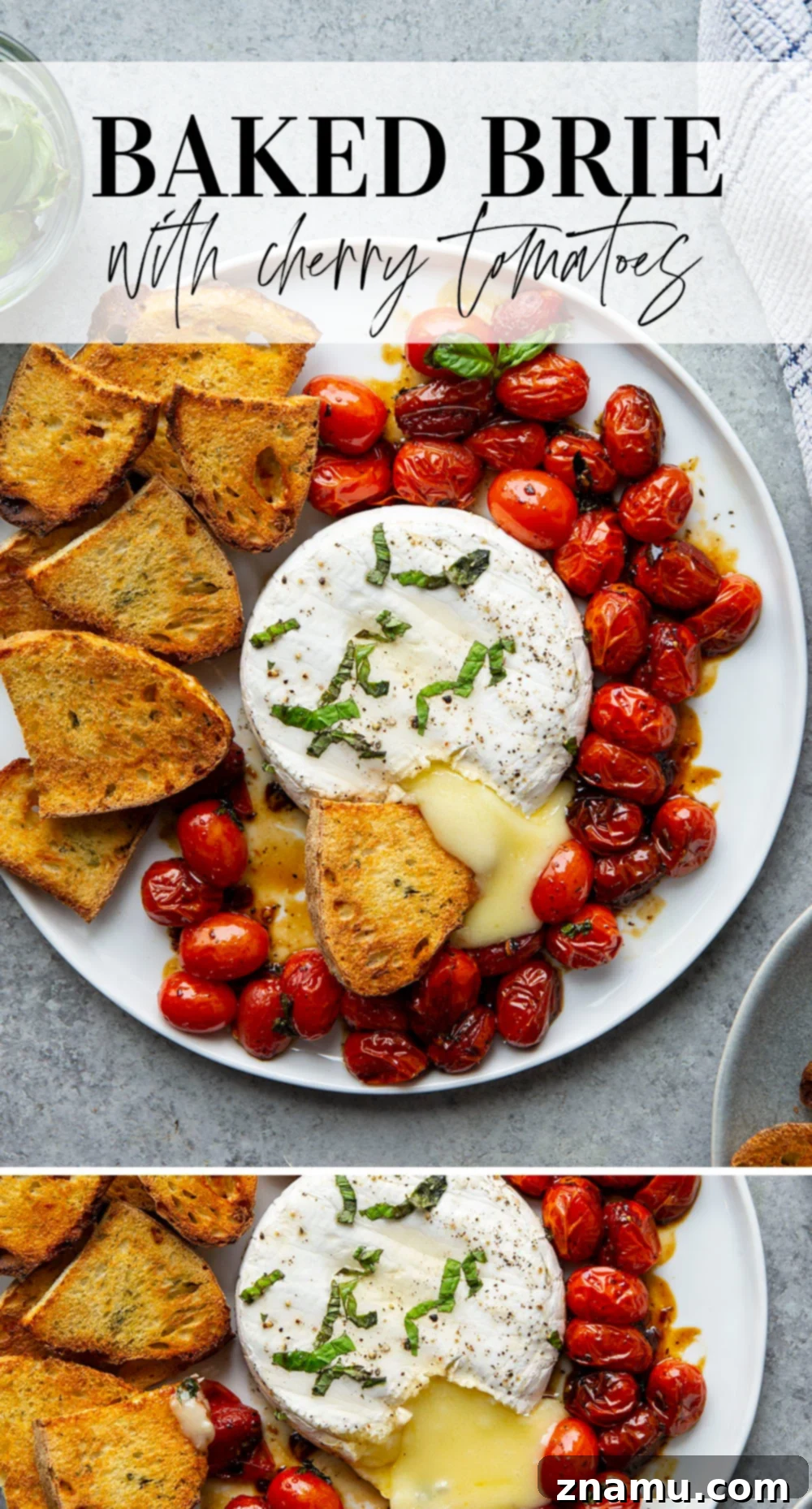 Baked Brie with Roasted Cherry Tomatoes and Fresh Herbs 7 Overhead shot of baked brie with cherry tomatoes and fresh basil in a baking dish.