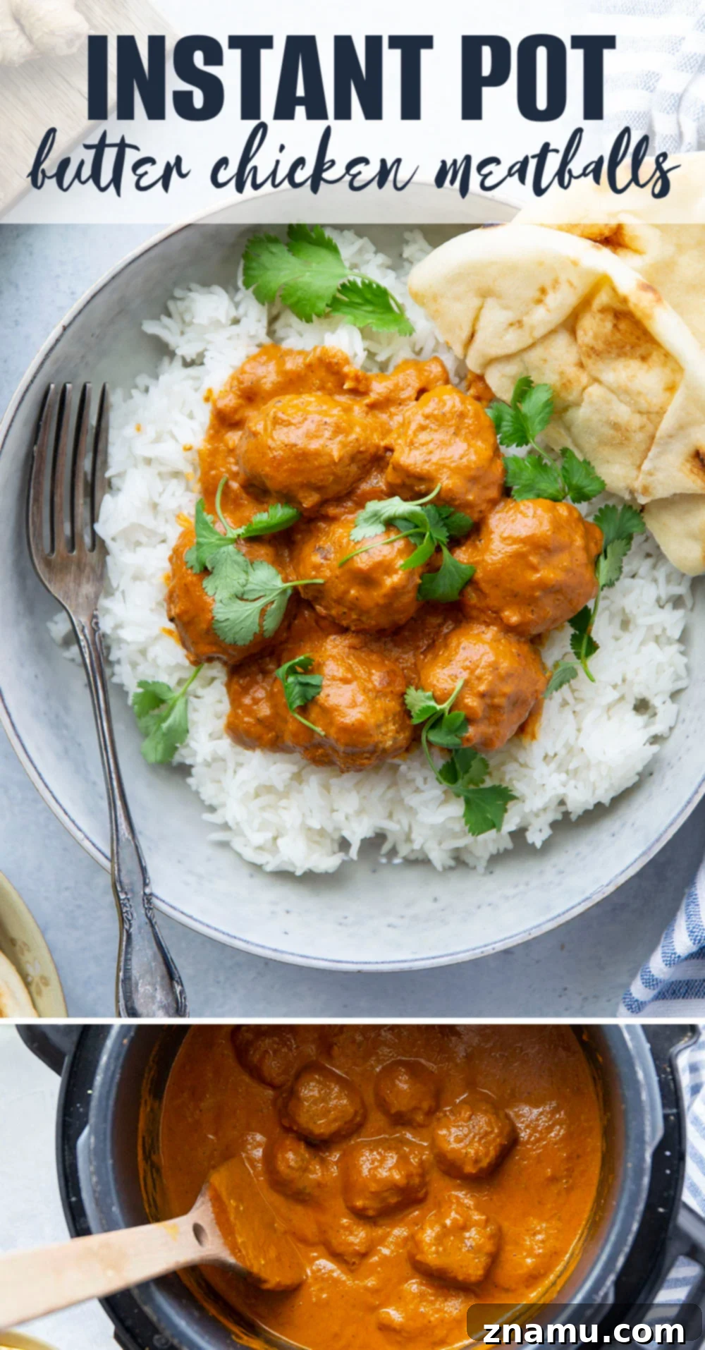 Creamy Instant Pot Butter Chicken Meatballs 7 A final, enticing image of the Instant Pot Butter Chicken Meatballs, garnished and ready to be served.