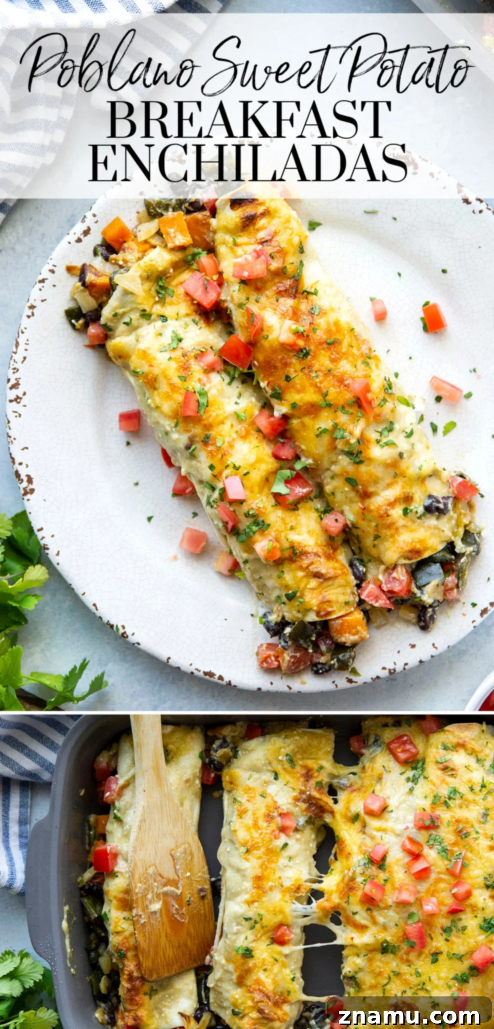 Savory Breakfast Enchiladas with Poblano Sweet Potato and Black Beans 7 These sweet potato black bean breakfast enchiladas are packed with all the savory breakfast works and smothered in a perfectly creamy green enchilada sauce. - the best hearty breakfast!