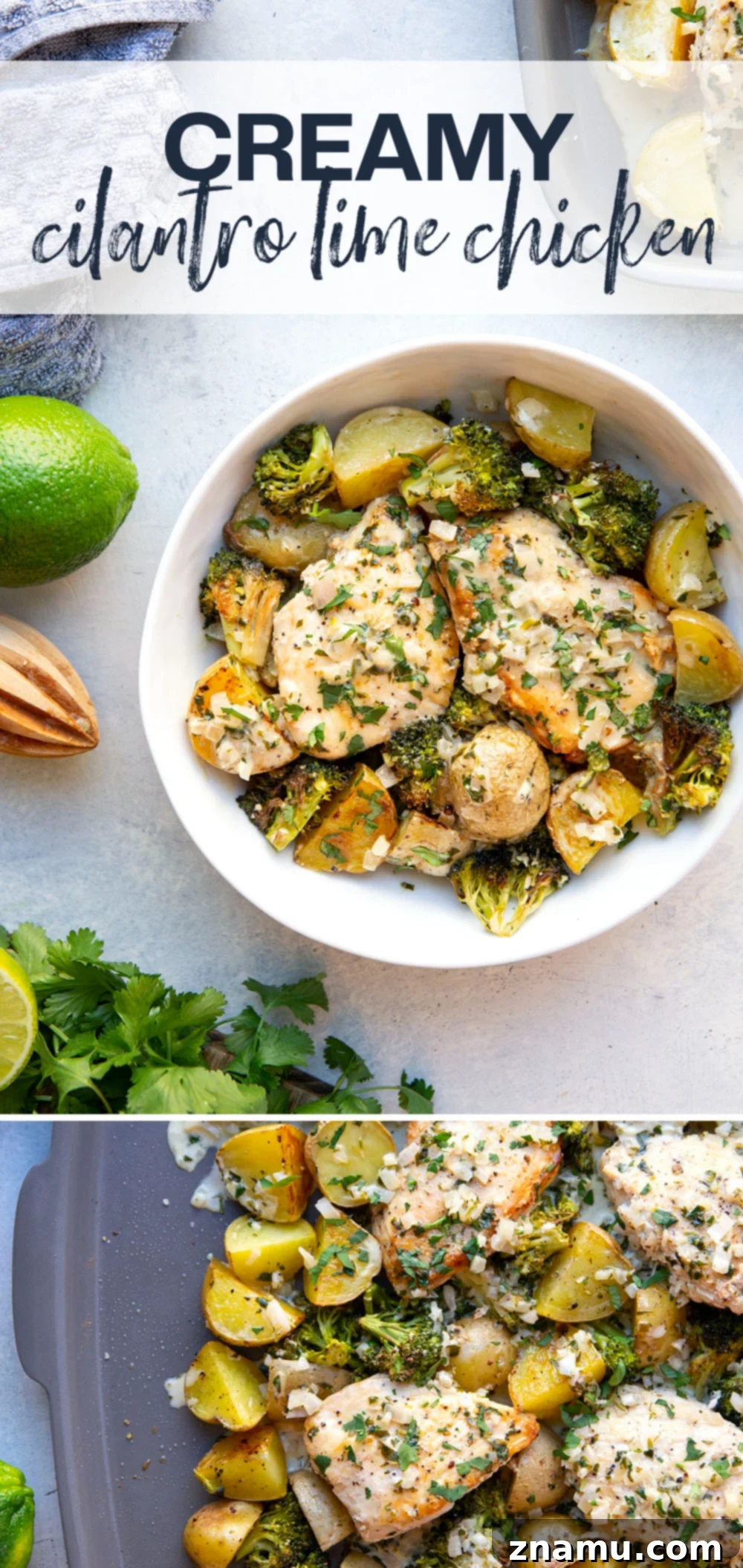 Flavorful Cilantro Lime Chicken & Roasted Veggies 7 Full sheet pan of Creamy Cilantro Lime Chicken, ready to serve.