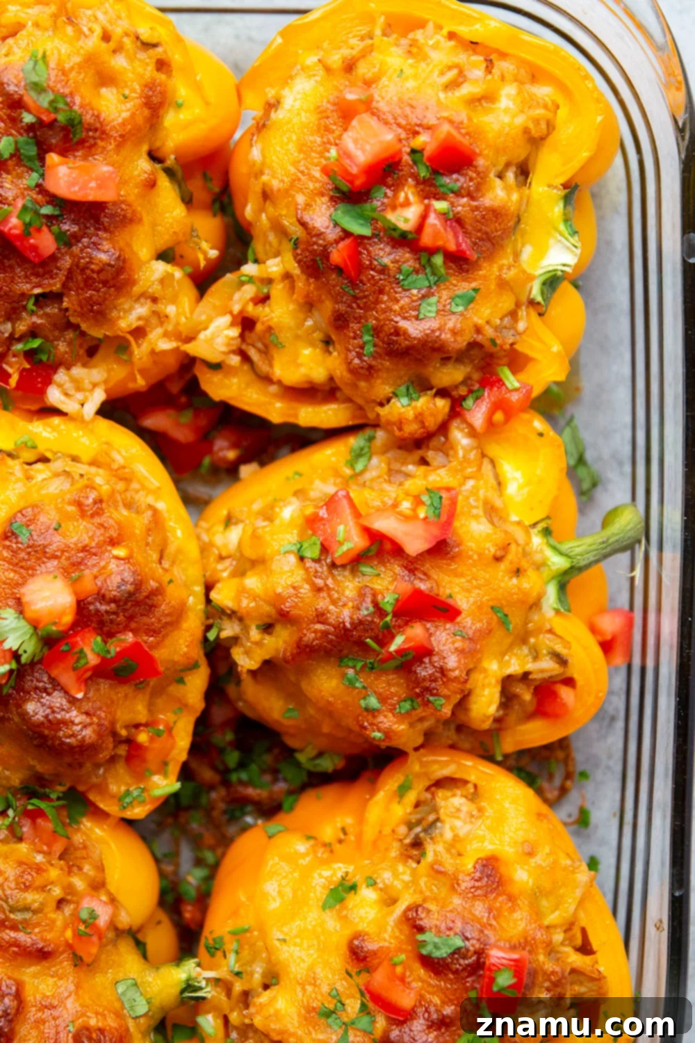 Enchilada Chicken Pepper Boats 3 Close-up of golden-brown chicken enchilada stuffed peppers, fresh from the oven.
