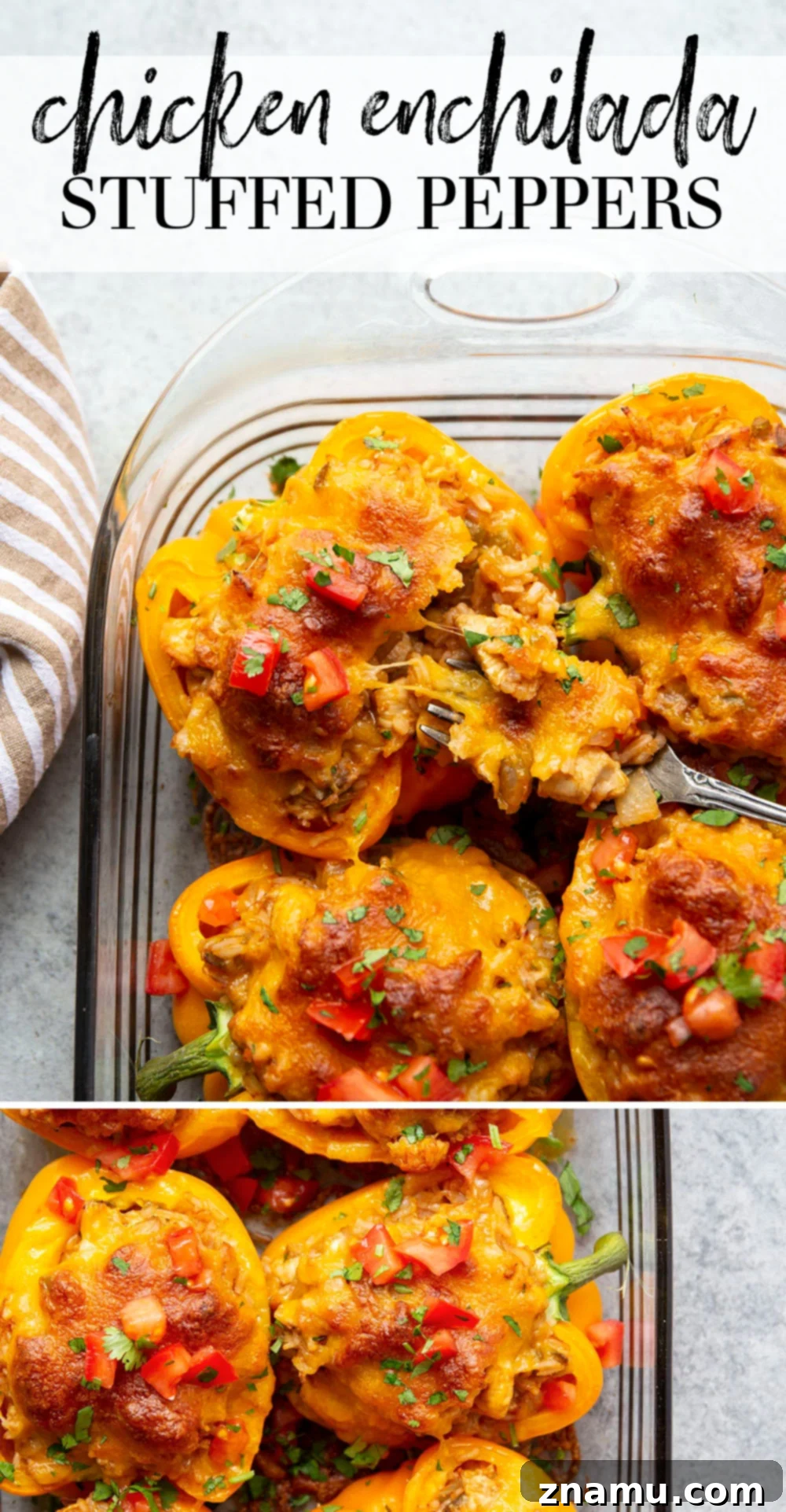 Enchilada Chicken Pepper Boats 7 Overhead shot of an entire baking dish of chicken enchilada stuffed peppers, ready to serve.