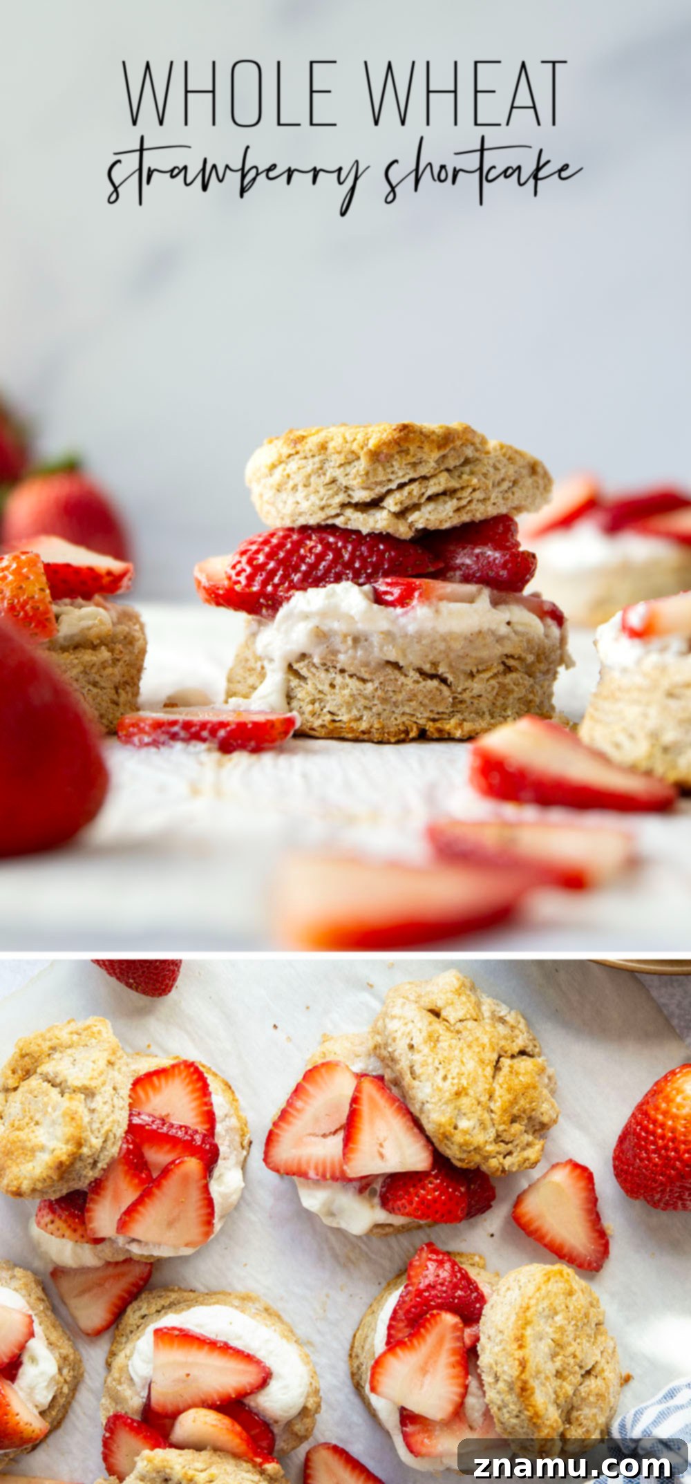 Rustic Whole Wheat Strawberry Shortcake 7 This whole wheat strawberry shortcake features rustic whole wheat biscuits cracked open warm and served with a sweet strawberry sauce and lots of fluffy whipped cream.