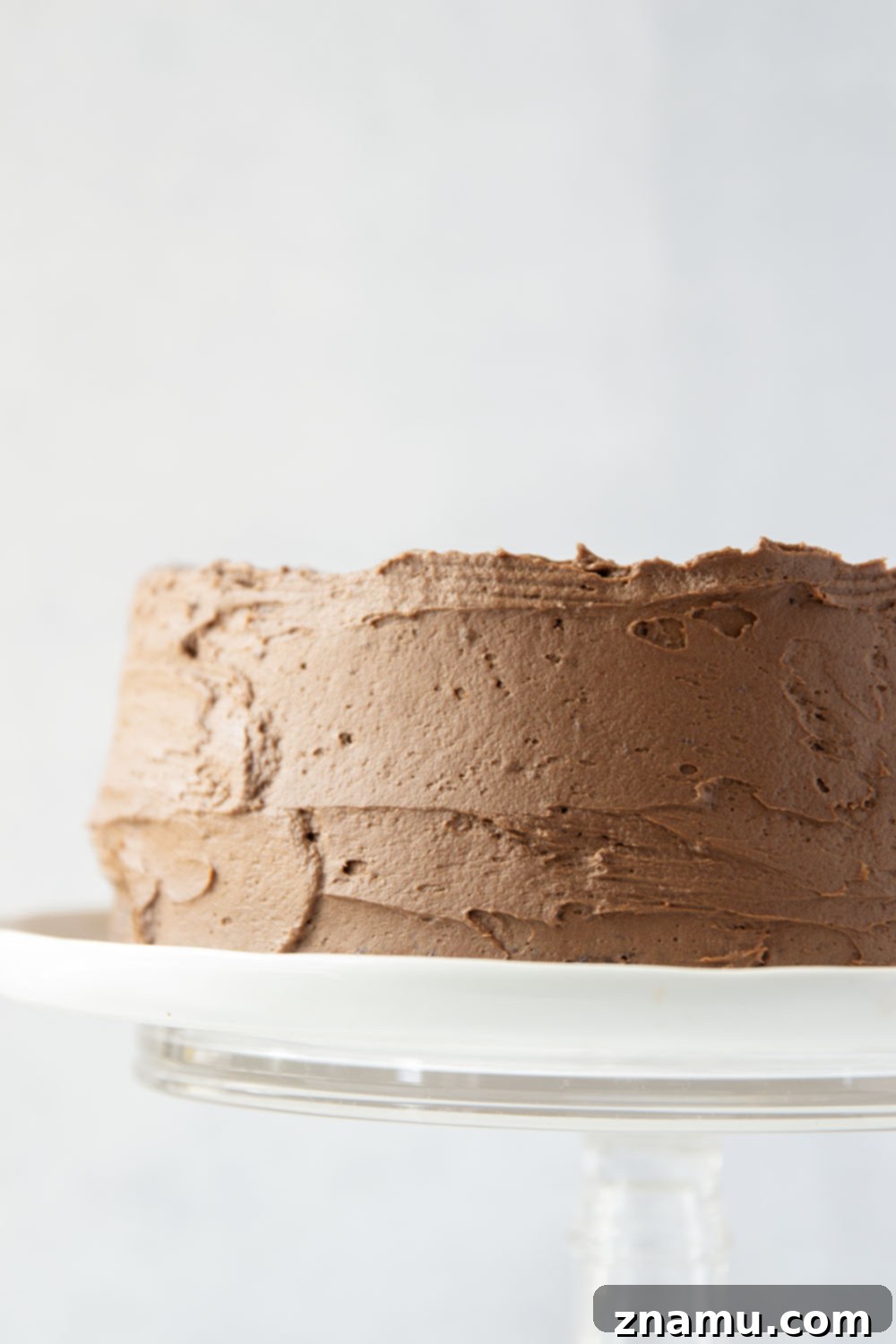 Decadent Chocolate Layer Cake 3 A beautifully frosted chocolate layer cake on a white cake stand, showcasing its two rich chocolate layers and thick buttercream.