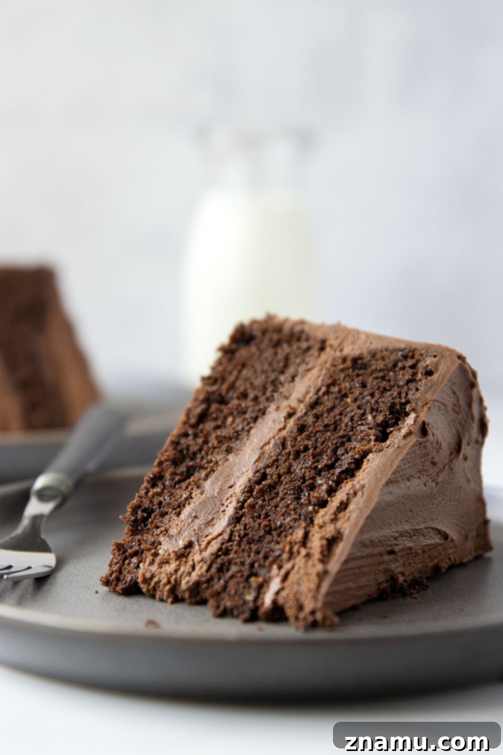 Decadent Chocolate Layer Cake 7 Several slices of homemade chocolate layer cake arranged on a serving plate, highlighting the dark, rich color and frosting.