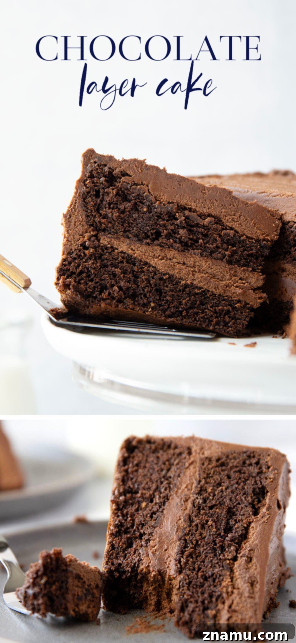 Decadent Chocolate Layer Cake 8 A top-down view of a fully frosted chocolate layer cake, decorated simply and elegantly.