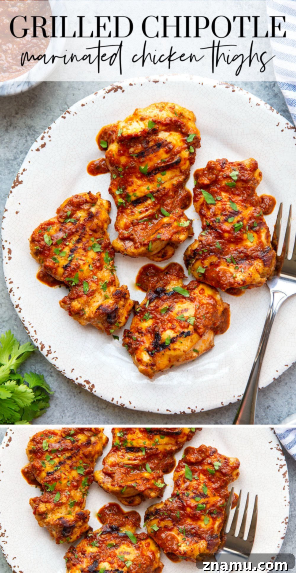 Smoky Chipotle Grilled Chicken Thighs 7 Plated grilled chipotle chicken with fresh cilantro.