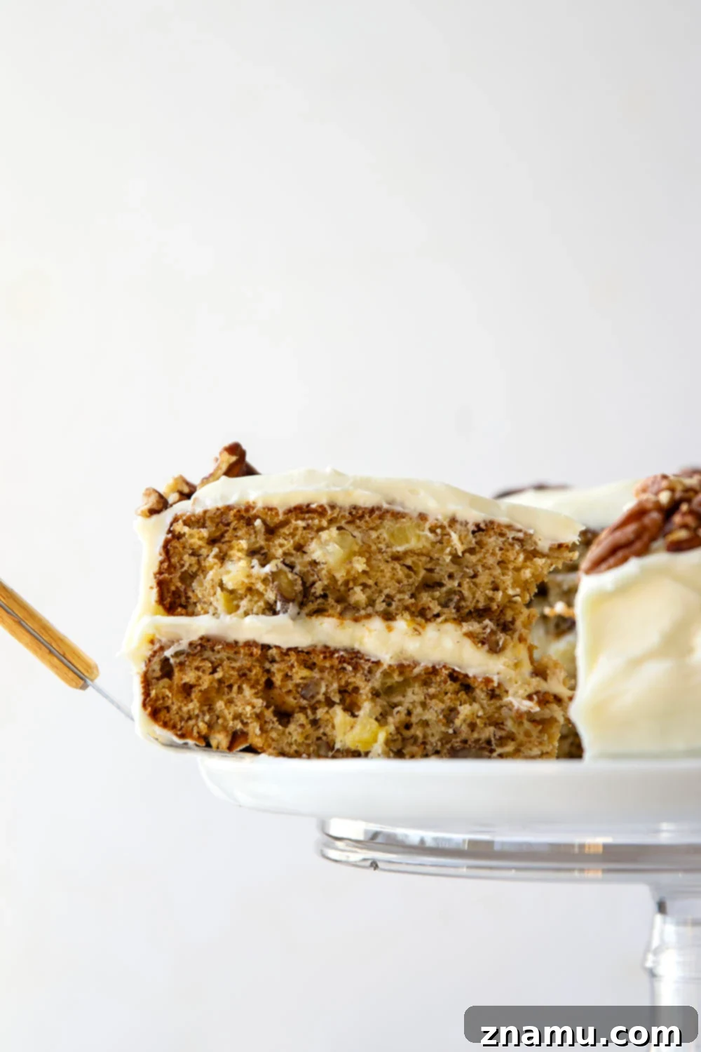 Taste of the Tropics, Southern Style 2 A vibrant and moist Hummingbird Cake, richly flavored with banana, pineapple, and toasted pecans, generously topped with creamy, tangy cream cheese frosting.