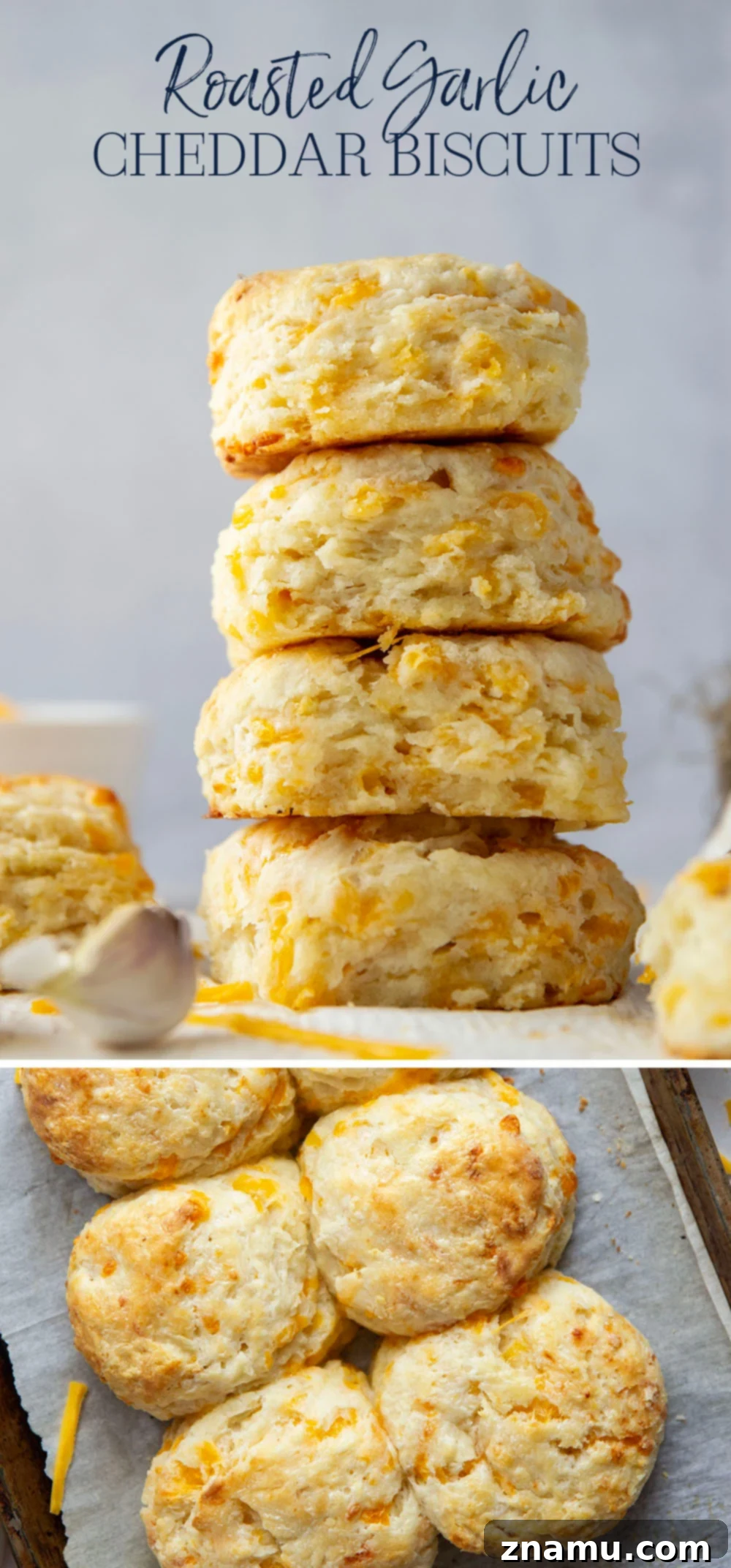 Artisan Roasted Garlic & Sharp Cheddar Biscuits 7 These roasted garlic cheddar biscuits boast a lovely roasted garlic flavor and plenty of gooey cheddar cheese. They are quick to make, light, and flaky!