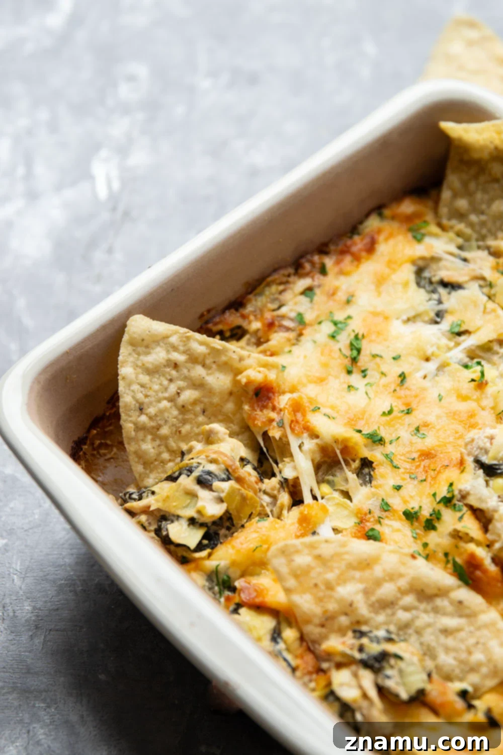 Sweet Caramelized Onion & Spinach Artichoke Bake 5 Freshly baked spinach artichoke dip with a golden-brown cheese crust.