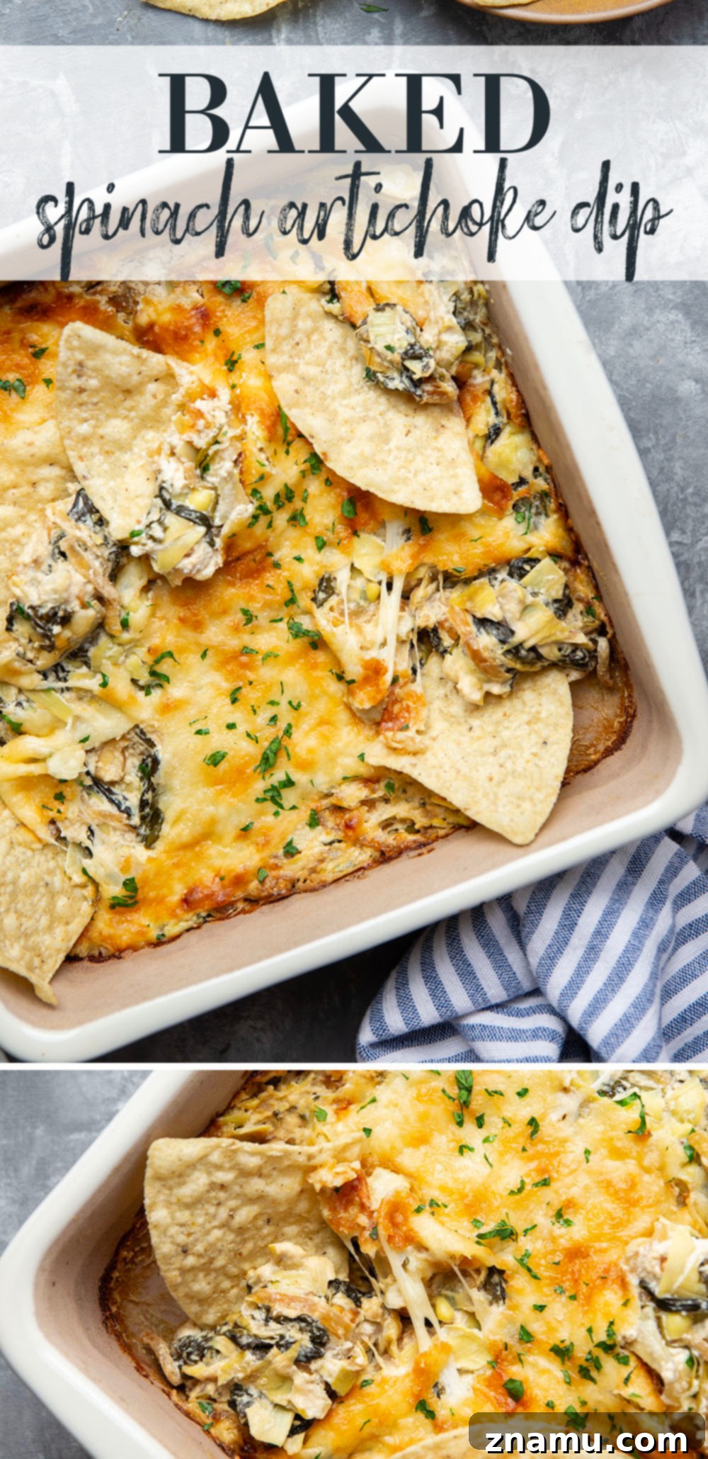 Sweet Caramelized Onion & Spinach Artichoke Bake 7 A full pan of baked spinach artichoke dip, garnished with fresh parsley.