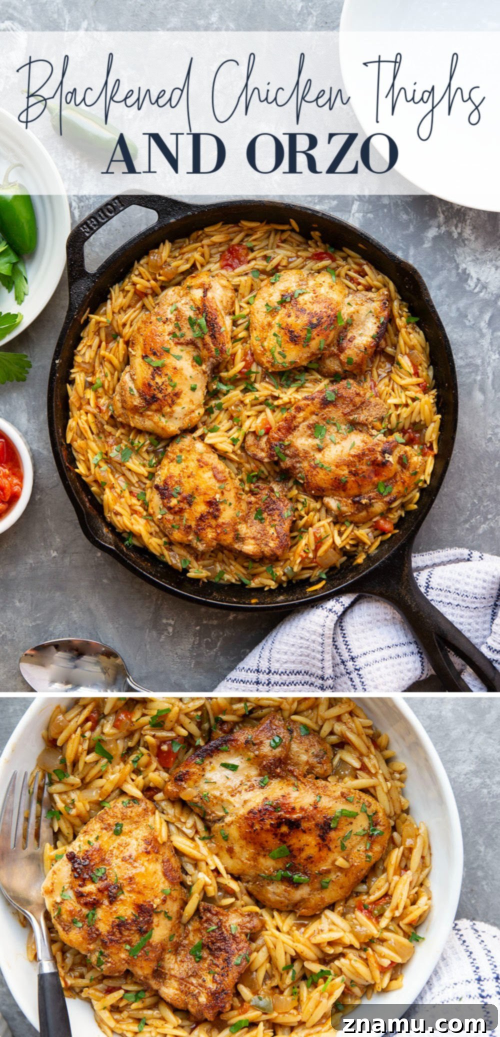 An appetizing close-up of a serving of Skillet Blackened Chicken Thighs and Orzo in a bowl, with a fork ready to dig in. The focus is on the textured chicken and creamy orzo.