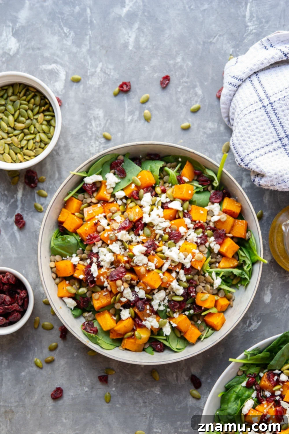 Maple-Kissed Butternut Lentil Salad 3 Close-up of the delicious Butternut Squash Lentil Salad with Maple Dressing, showcasing the roasted squash, lentils, cranberries, and feta.