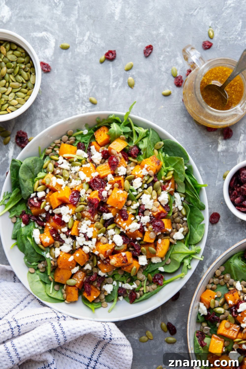 Maple-Kissed Butternut Lentil Salad 6 A serving of the Butternut Squash Lentil Salad with Maple Dressing, ready to be enjoyed.