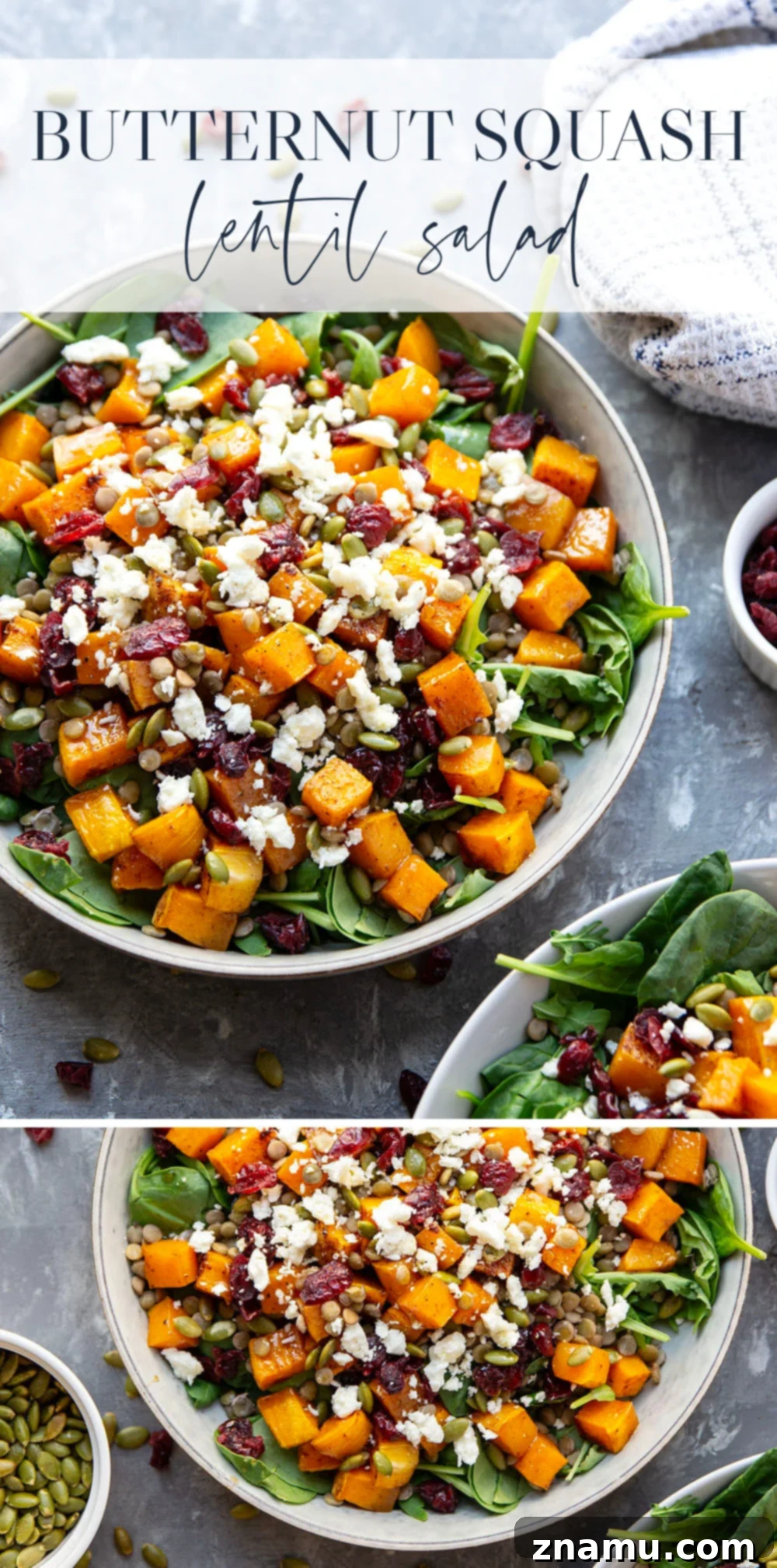 Maple-Kissed Butternut Lentil Salad 7 An overhead shot of the complete Butternut Squash Lentil Salad, beautifully presented in a large bowl.