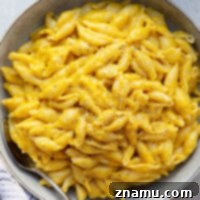 Creamy Instant Pot Butternut Squash Mac and Cheese
