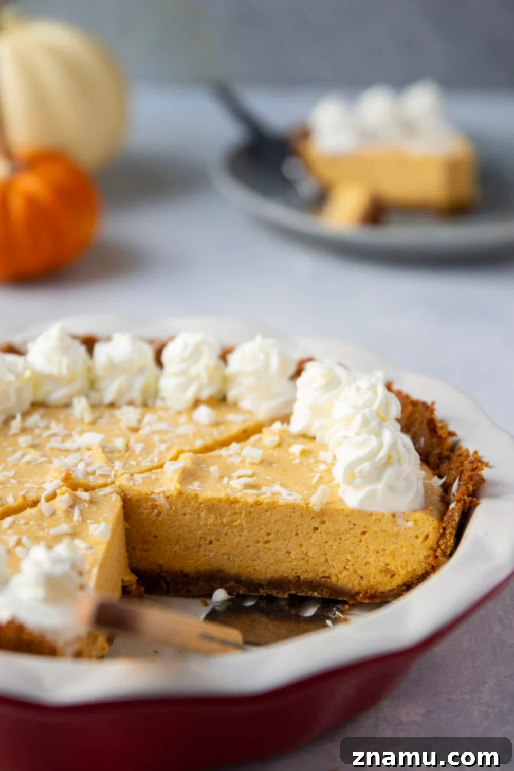 Velvet Pumpkin White Chocolate Dream Pie 3 Close-up of the White Chocolate Pumpkin Mousse Pie, highlighting the smooth texture of the mousse and the crisp gingersnap crust.