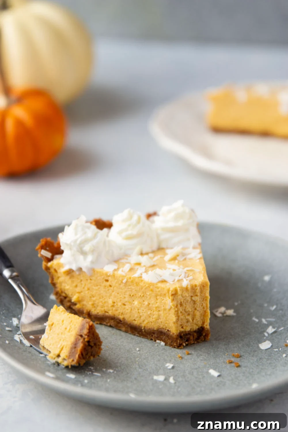 Velvet Pumpkin White Chocolate Dream Pie 5 Ingredients laid out for making the White Chocolate Pumpkin Mousse Pie, including gingersnaps, pumpkin puree, and white chocolate.