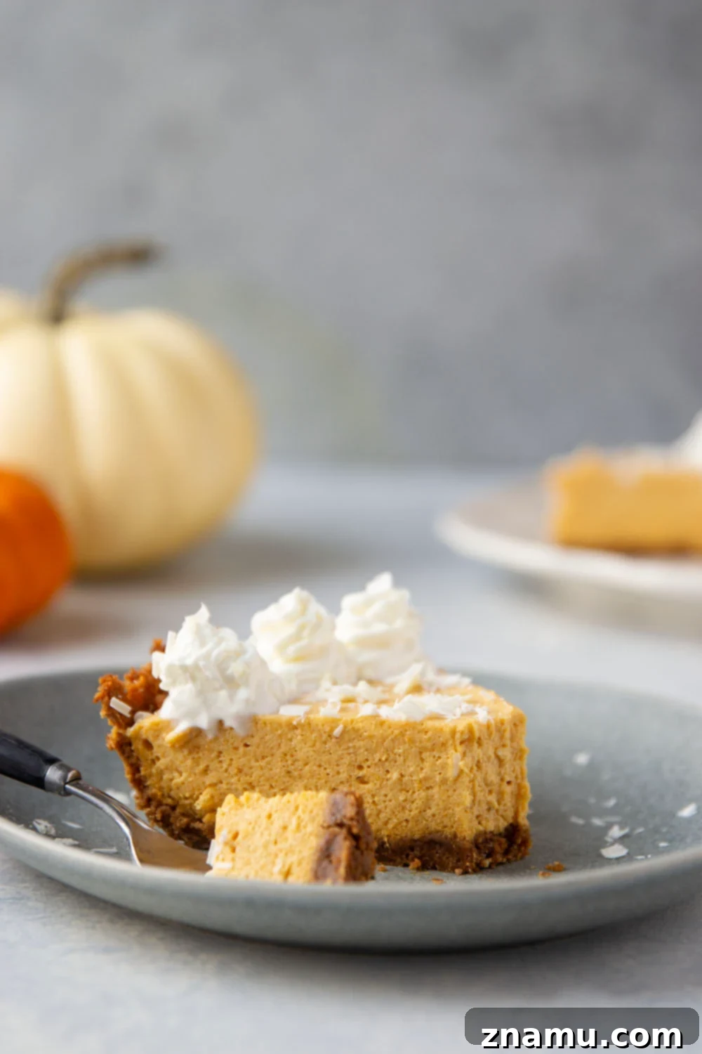 Velvet Pumpkin White Chocolate Dream Pie 6 A large, tempting slice of White Chocolate Pumpkin Mousse Pie, ready to be enjoyed.