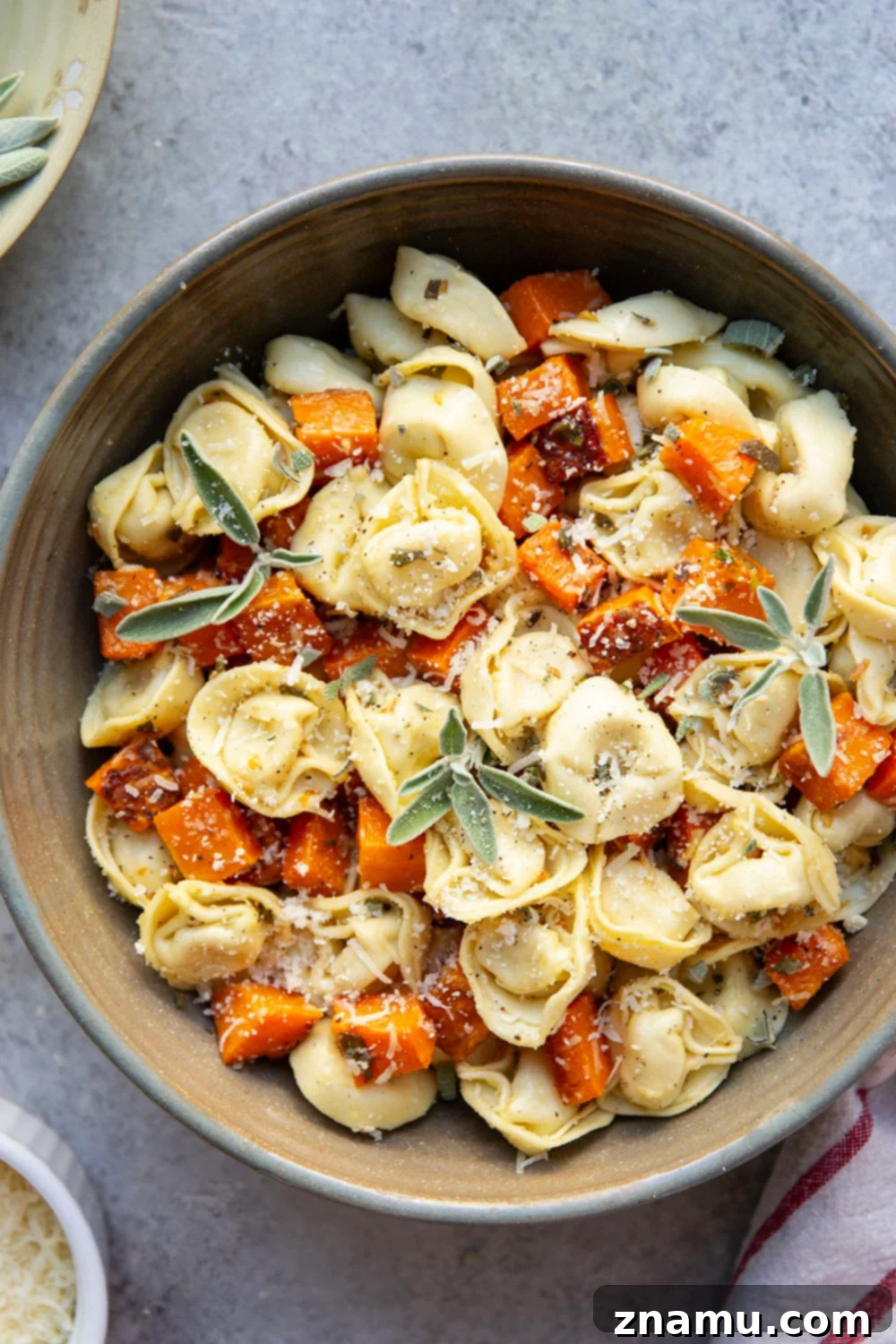 A serving of butternut squash and tortellini, showing the texture of the pasta and the golden roasted squash.