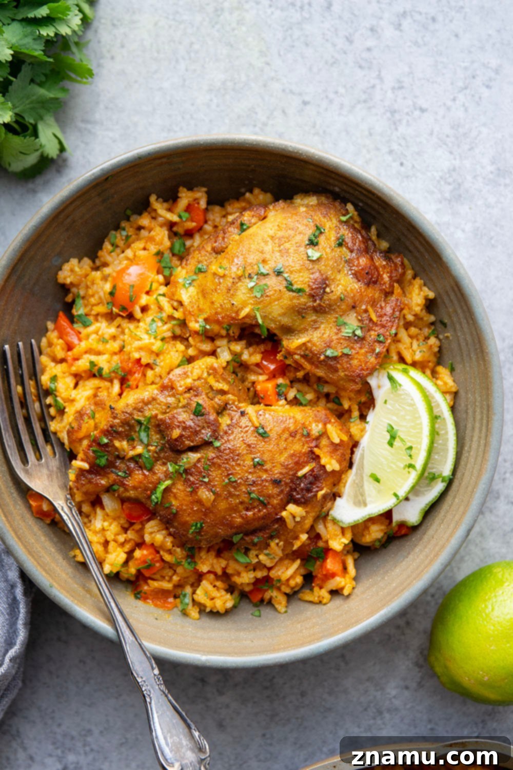 Effortless One-Pan Curry Chicken Dinner 5 Close-up of the One Pot Curry Chicken and Rice, emphasizing the rich, saucy texture of the curry and the perfectly cooked rice grains, with fresh cilantro sprinkled on top.