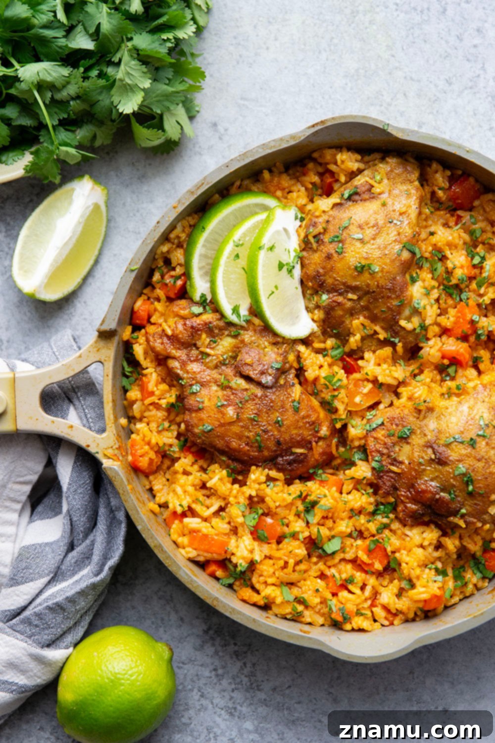 Effortless One-Pan Curry Chicken Dinner 6 A final close-up shot of the One Pot Curry Chicken and Rice, with vibrant green cilantro and a bright lime slice, showing its enticing texture and rich colors.