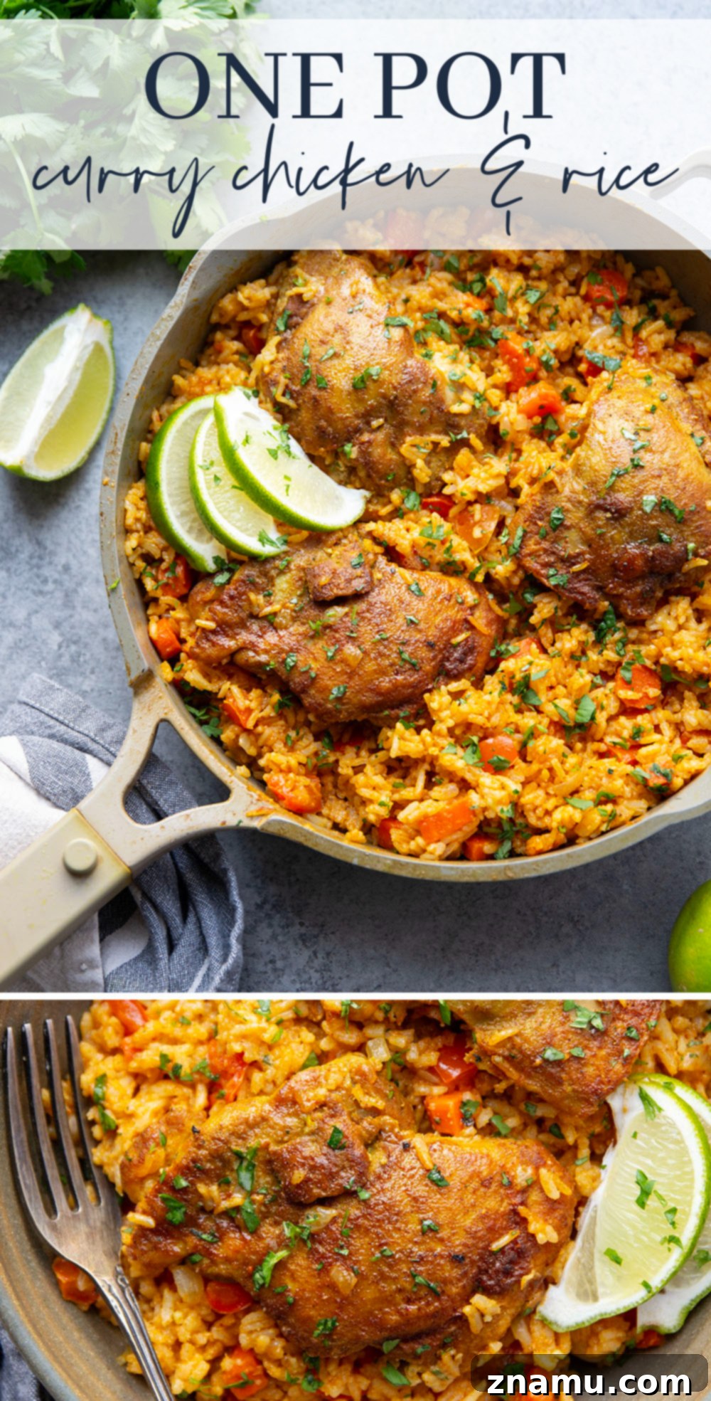 Effortless One-Pan Curry Chicken Dinner 7 A beautifully plated serving of One Pot Curry Chicken and Rice, garnished with fresh herbs and a lime wedge, presented against a rustic background.