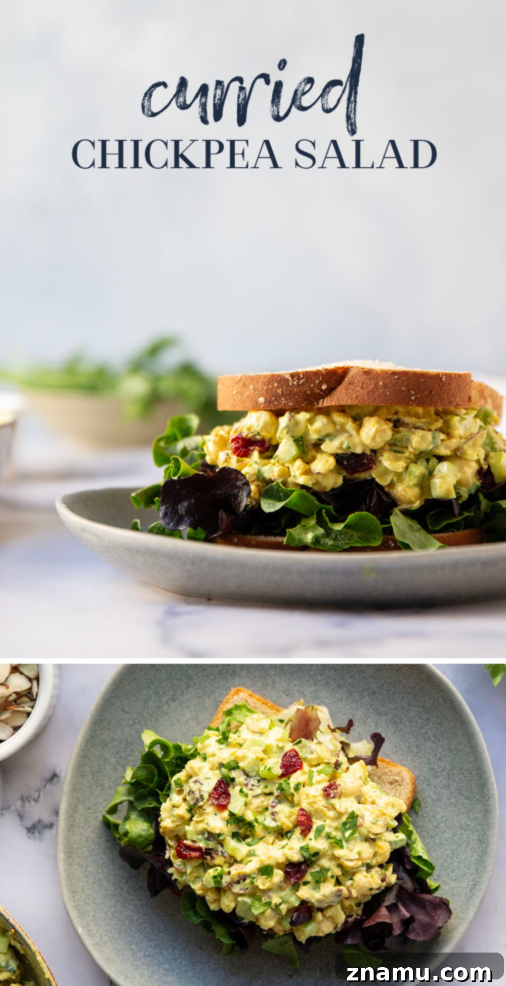 Sunshine Curried Chickpea Salad 7 Final plated shot of curried chickpea salad, emphasizing its appetizing presentation and fresh ingredients.