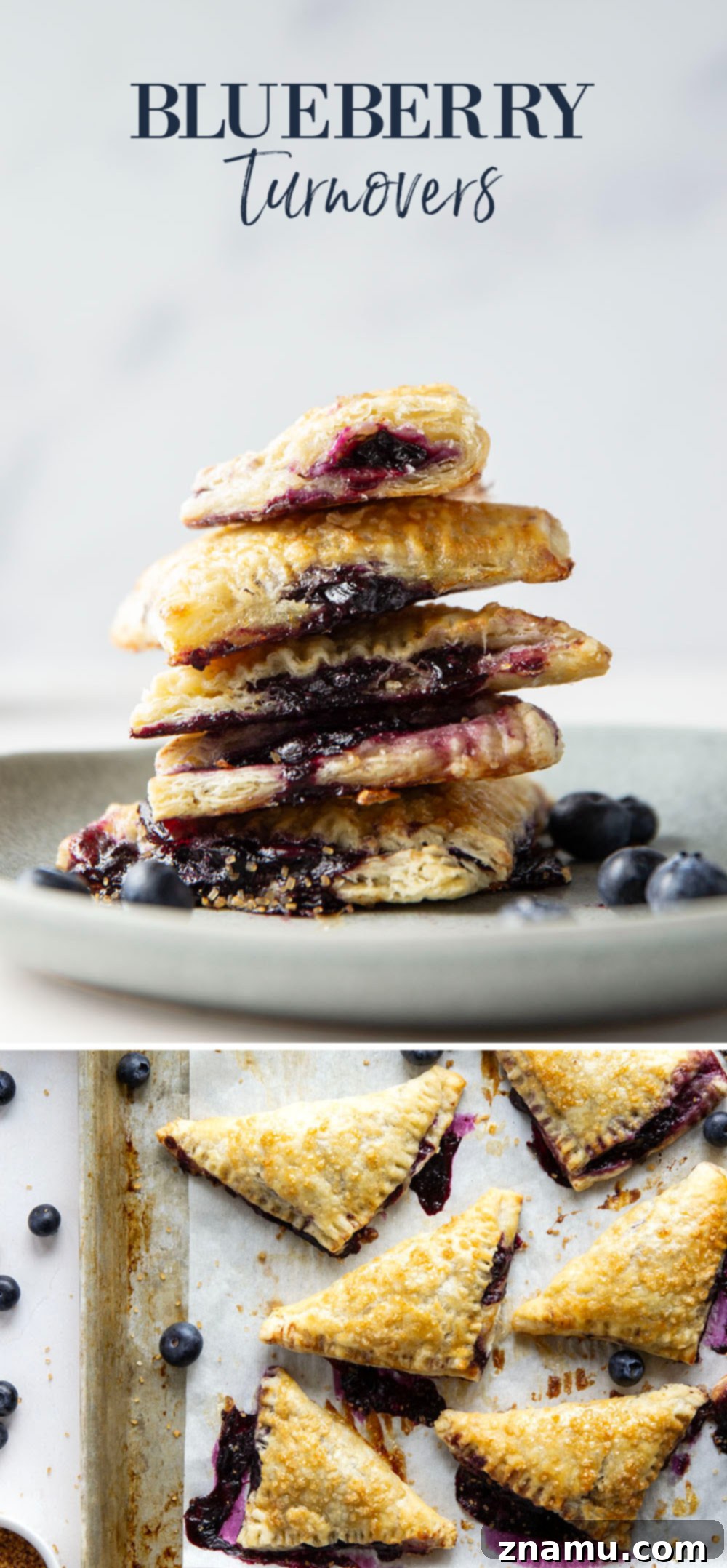 Flaky Blueberry Delights 7 These blueberry turnovers feature a juicy blueberry filling stuffed inside the flakiest homemade pastry dough. The perfect mini-sized pastry!