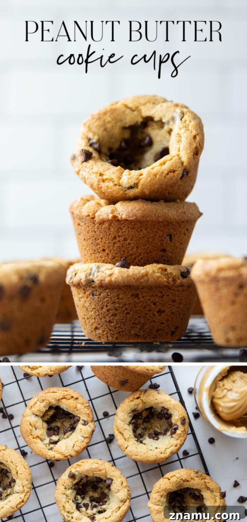 Ultimate Chocolate Chip Peanut Butter Cookie Cups 7 These soft and chewy peanut butter cookie cups are packed with plenty of creamy peanut butter and gooey chocolate chips. No-fuss, easy recipe that's ready in less than 30 minutes!