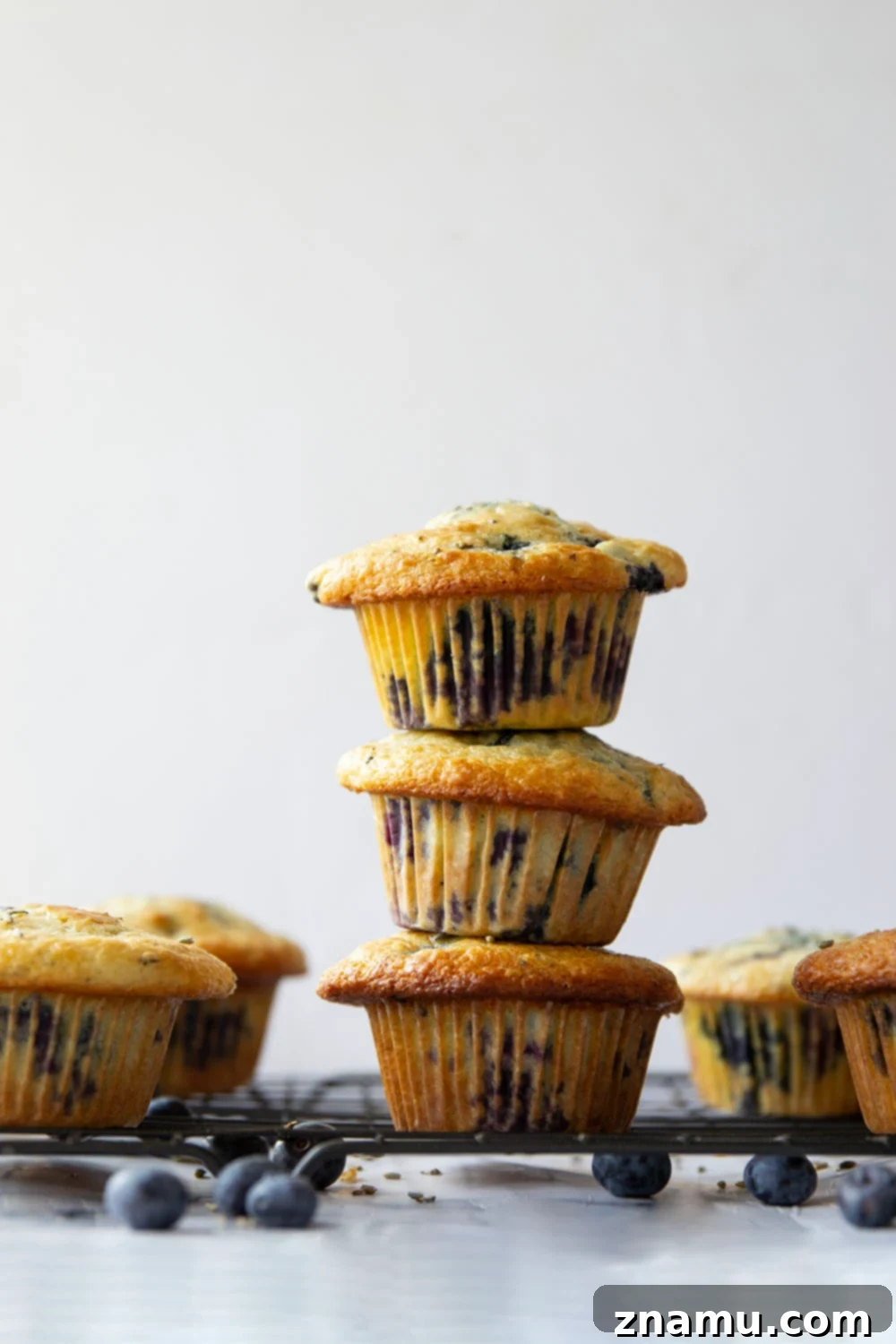 Citrus Blossom Berry Muffins 2 Fresh lemon and fragrant lavender are the dream team in these soft and fluffy lavender blueberry muffins!