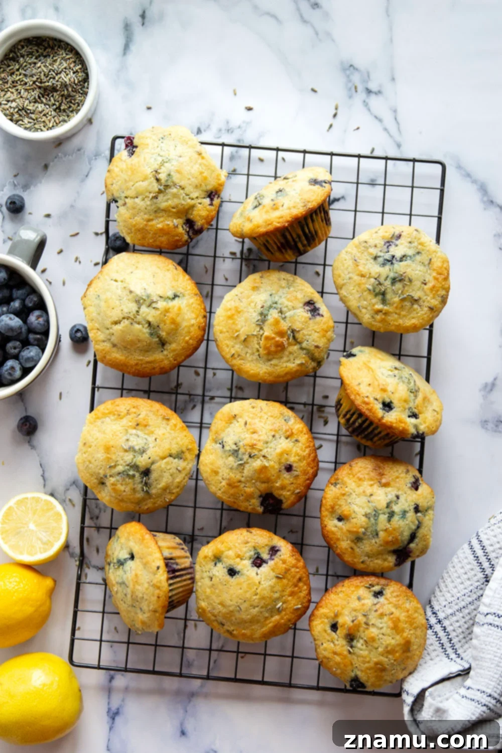 Citrus Blossom Berry Muffins 3 Fresh lemon and fragrant lavender are the dream team in these soft and fluffy lavender blueberry muffins!