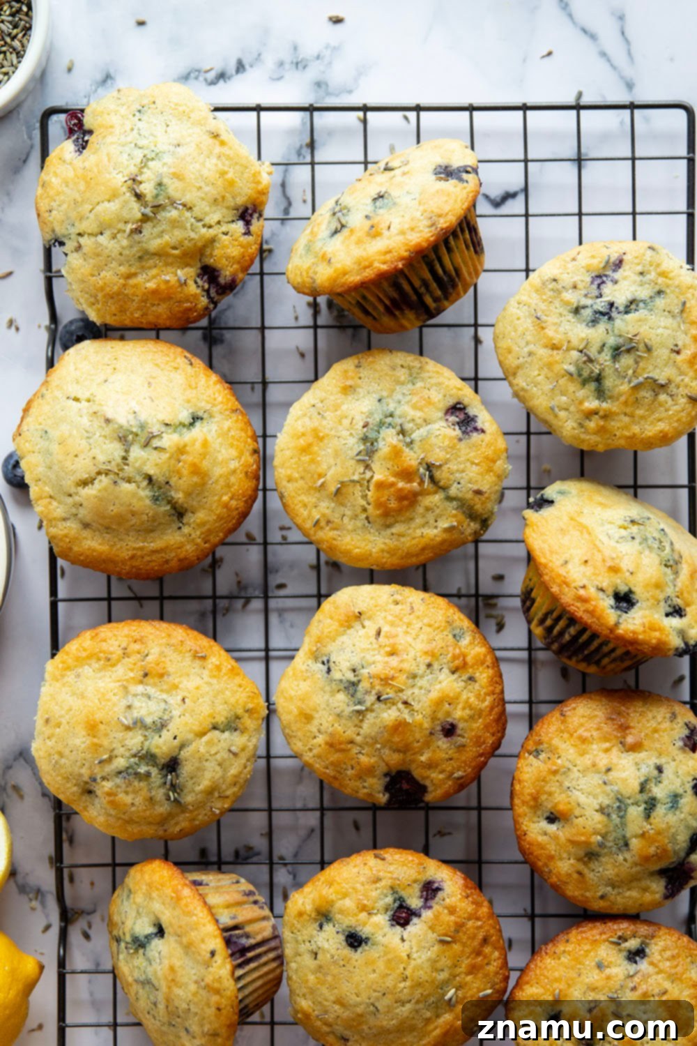 Citrus Blossom Berry Muffins 5 Fresh lemon and fragrant lavender are the dream team in these soft and fluffy lavender blueberry muffins!