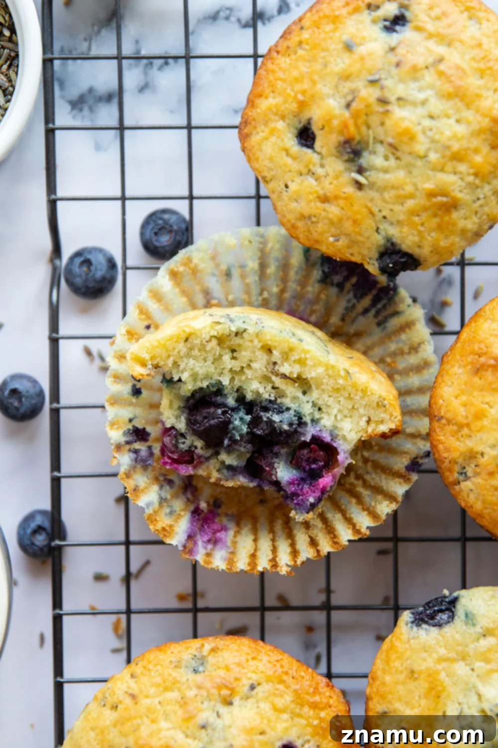 Citrus Blossom Berry Muffins 6 Fresh lemon and fragrant lavender are the dream team in these soft and fluffy lavender blueberry muffins!