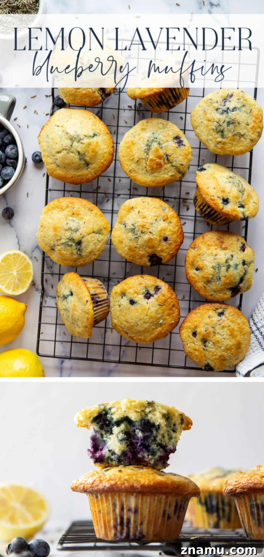 Citrus Blossom Berry Muffins 7 Fresh lemon and fragrant lavender are the dream team in these soft and fluffy lavender blueberry muffins!