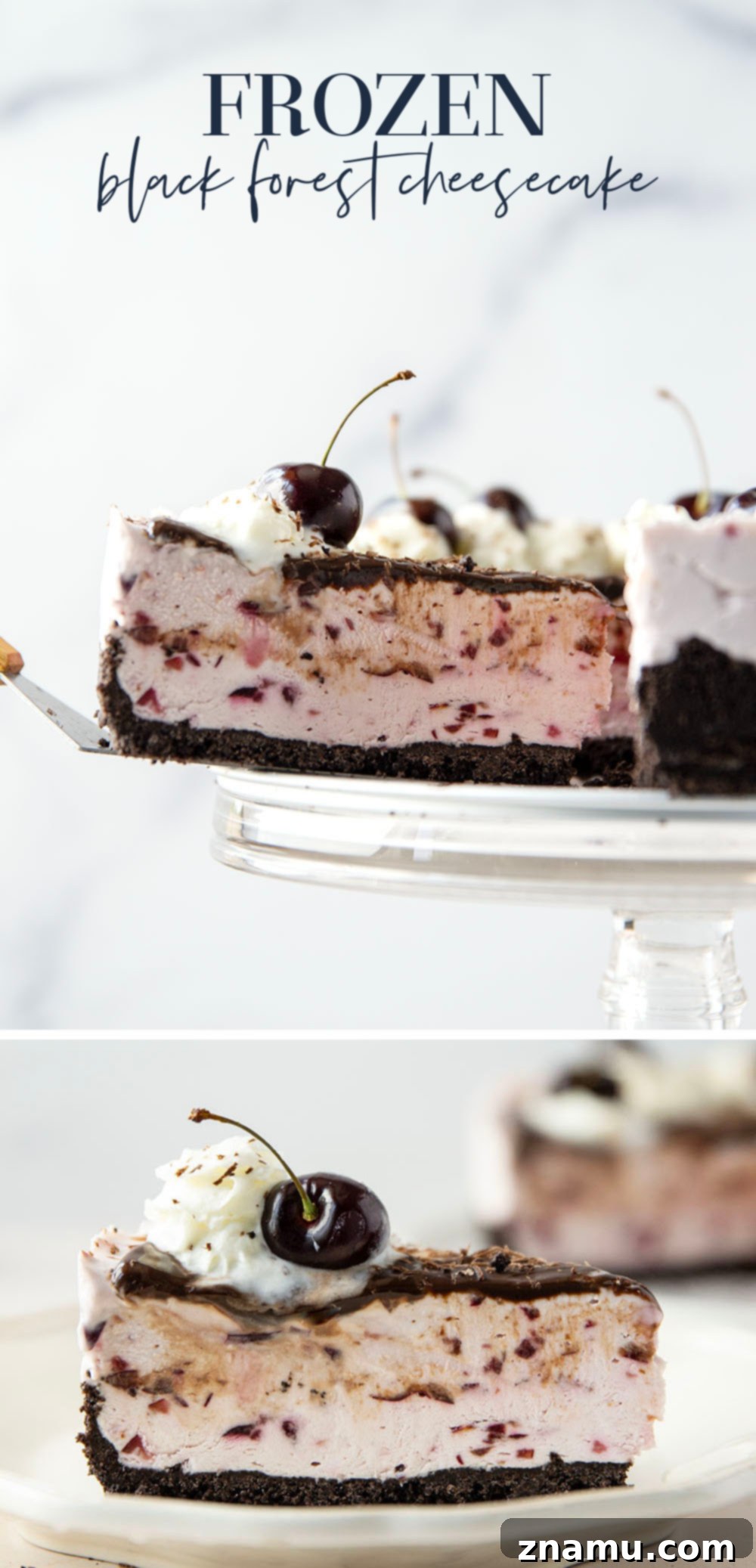Black Forest Frozen Cheesecake 7 This frozen black forest cheesecake is completely no-bake and features a buttery Oreo crust, silky cherry cheesecake filling, and lots of hot fudge sauce on top.